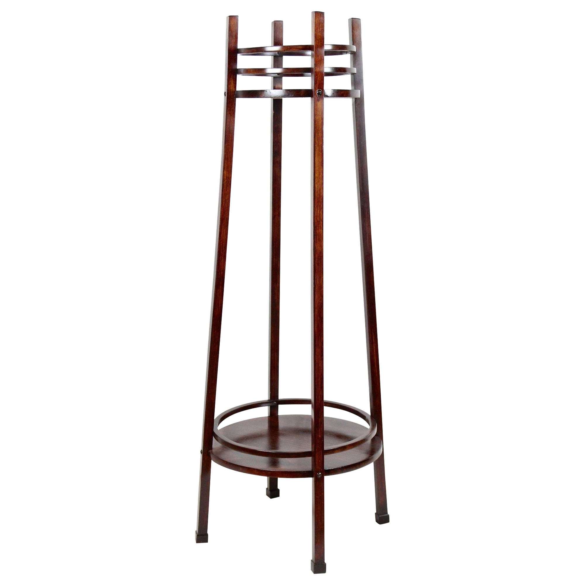 Piantana in legno curvato Thonet Mod. 9531 Art Nouveau, Austria circa 1915