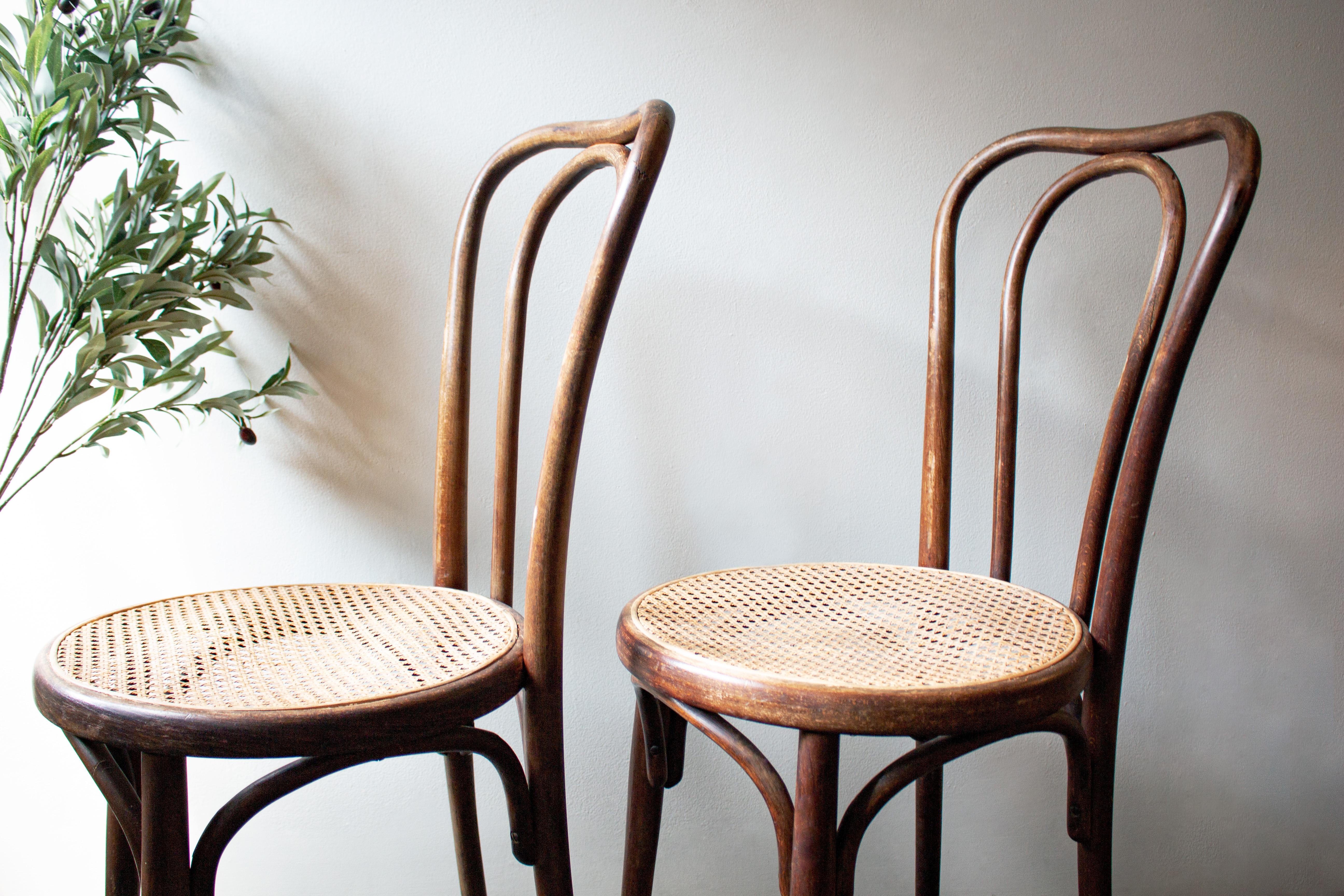 antique cane chairs value
