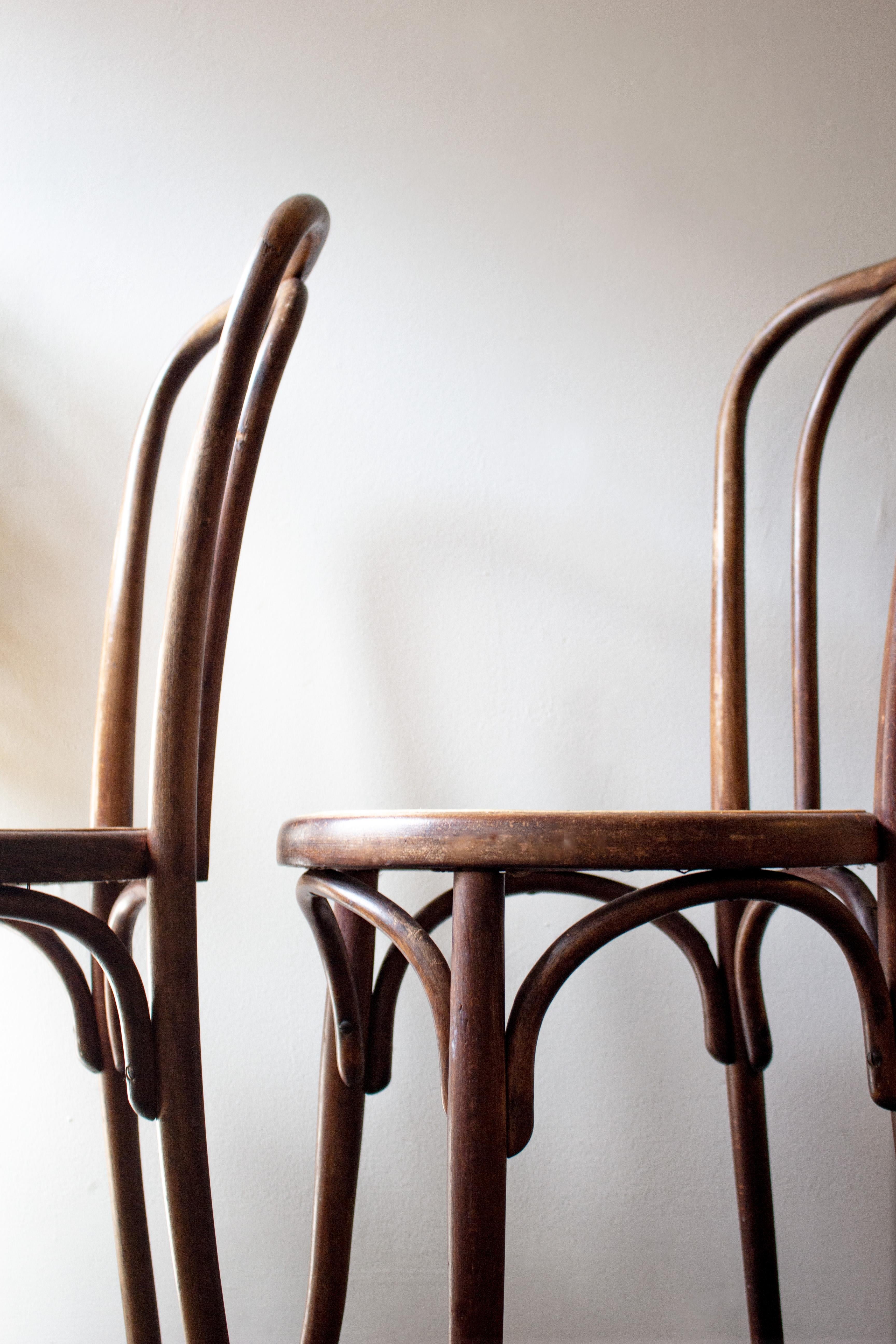 Hand-Woven Thonet Cane Chair Set by Fischel