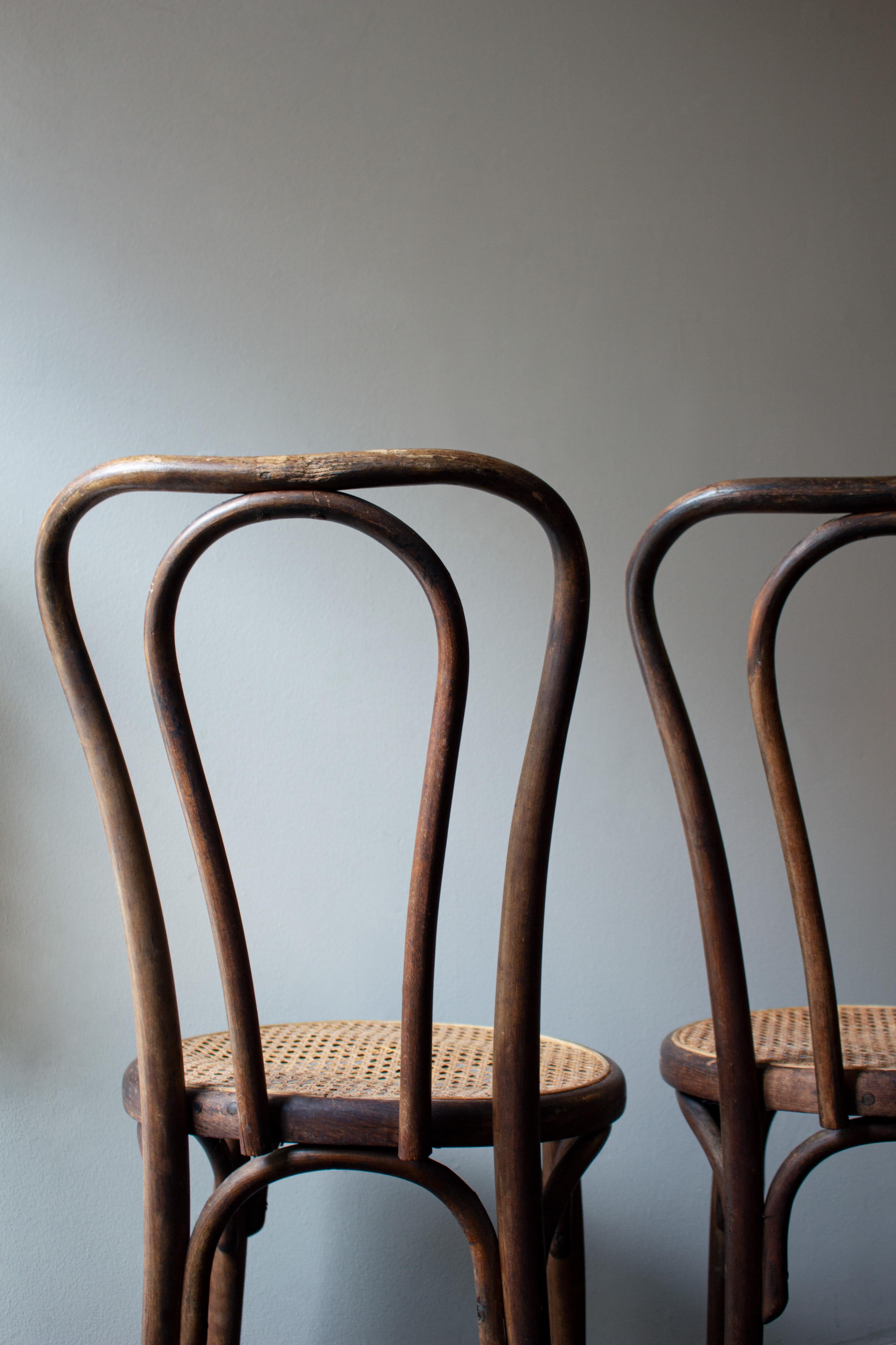 Thonet Cane Chair Set by Fischel In Fair Condition In Brooklyn, NY