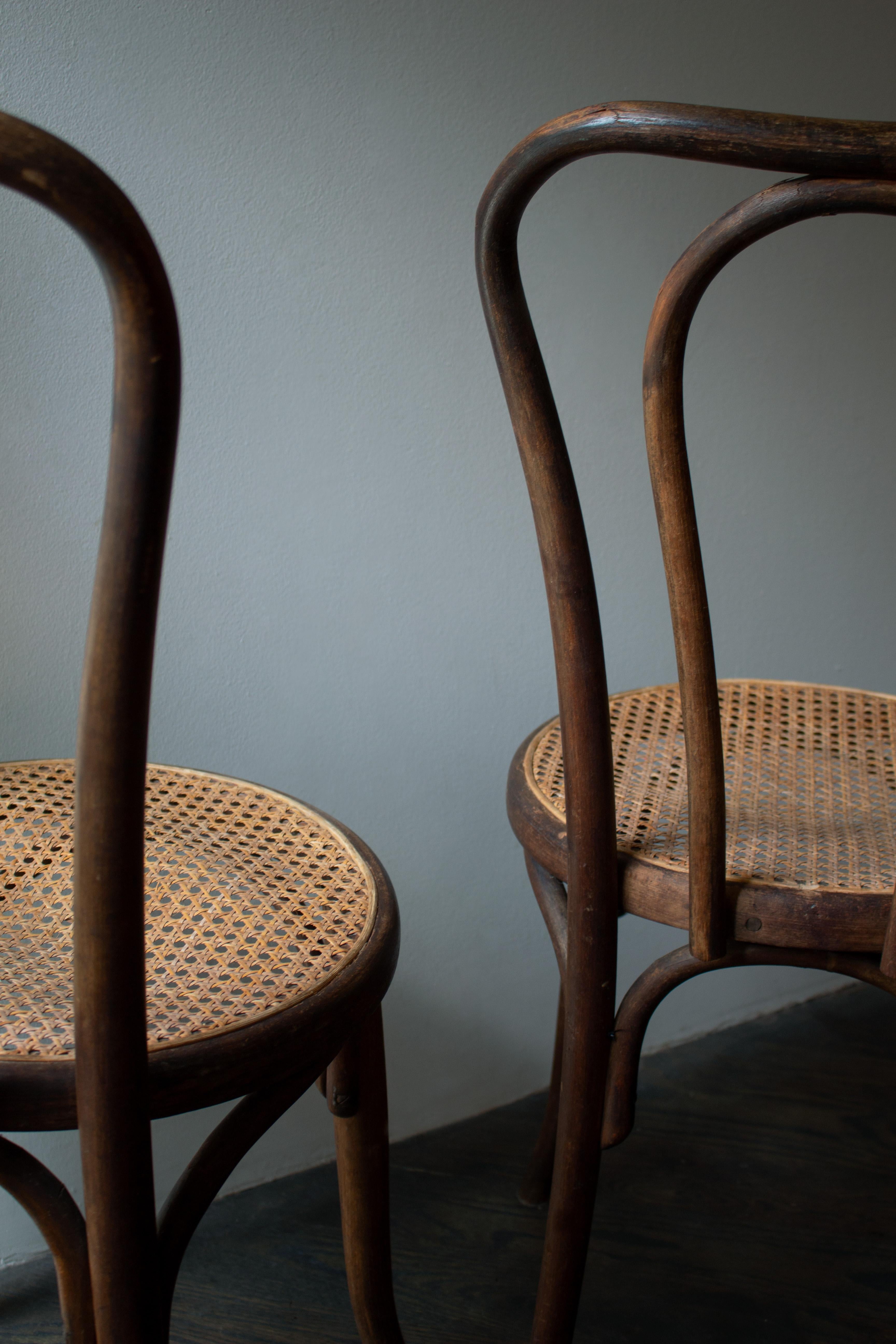 19th Century Thonet Cane Chair Set by Fischel