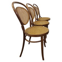Retro Thonet Chair N. 215, 1960s, 1 of 3