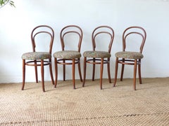 Thonet Chairs, Antique, Late 19th Century Model 14