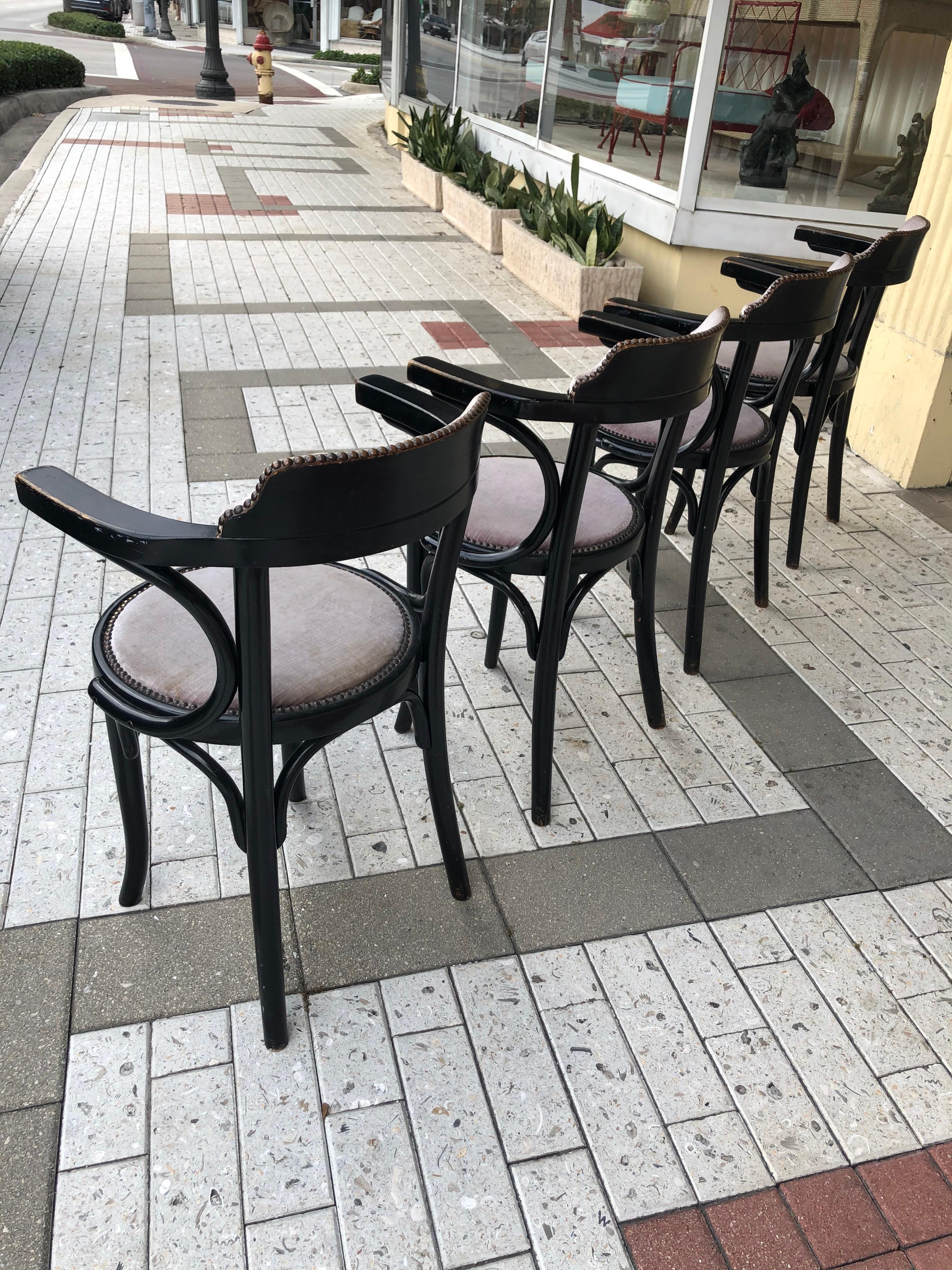 Thonet Chairs in Black Ebony, Set of 4 3