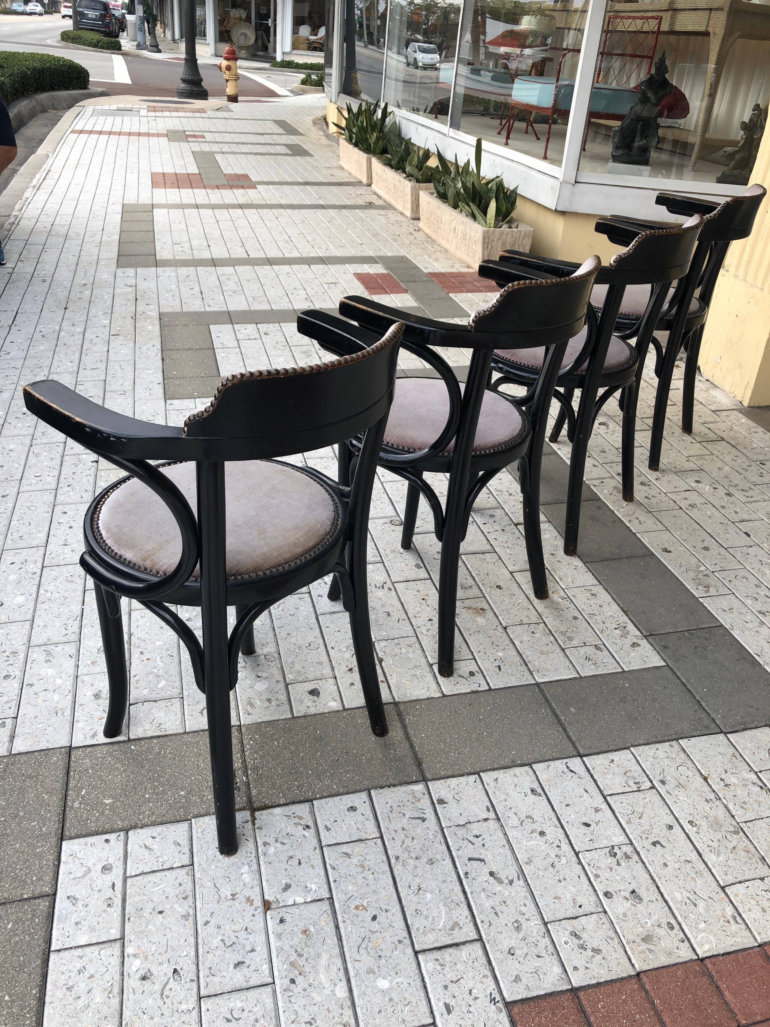 Austrian Thonet Chairs in Black Ebony, Set of 4