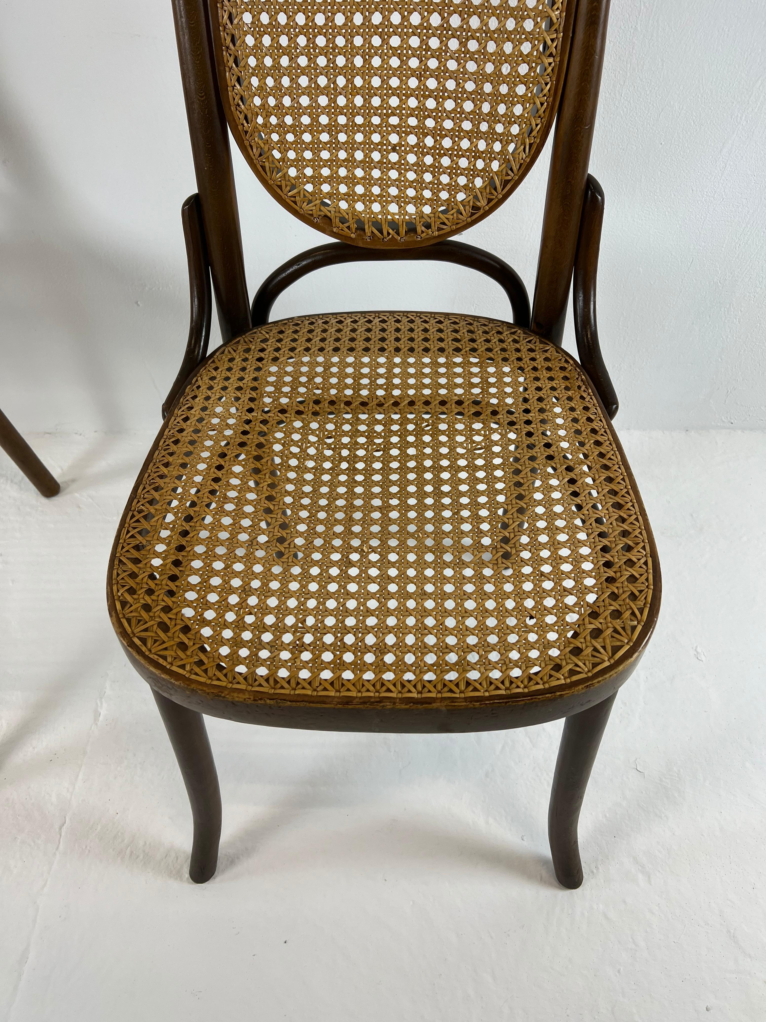 Oak Thonet Chairs n° 17