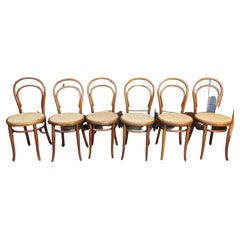 Thonet Chairs set of 6 Thonet Chairs set of 6