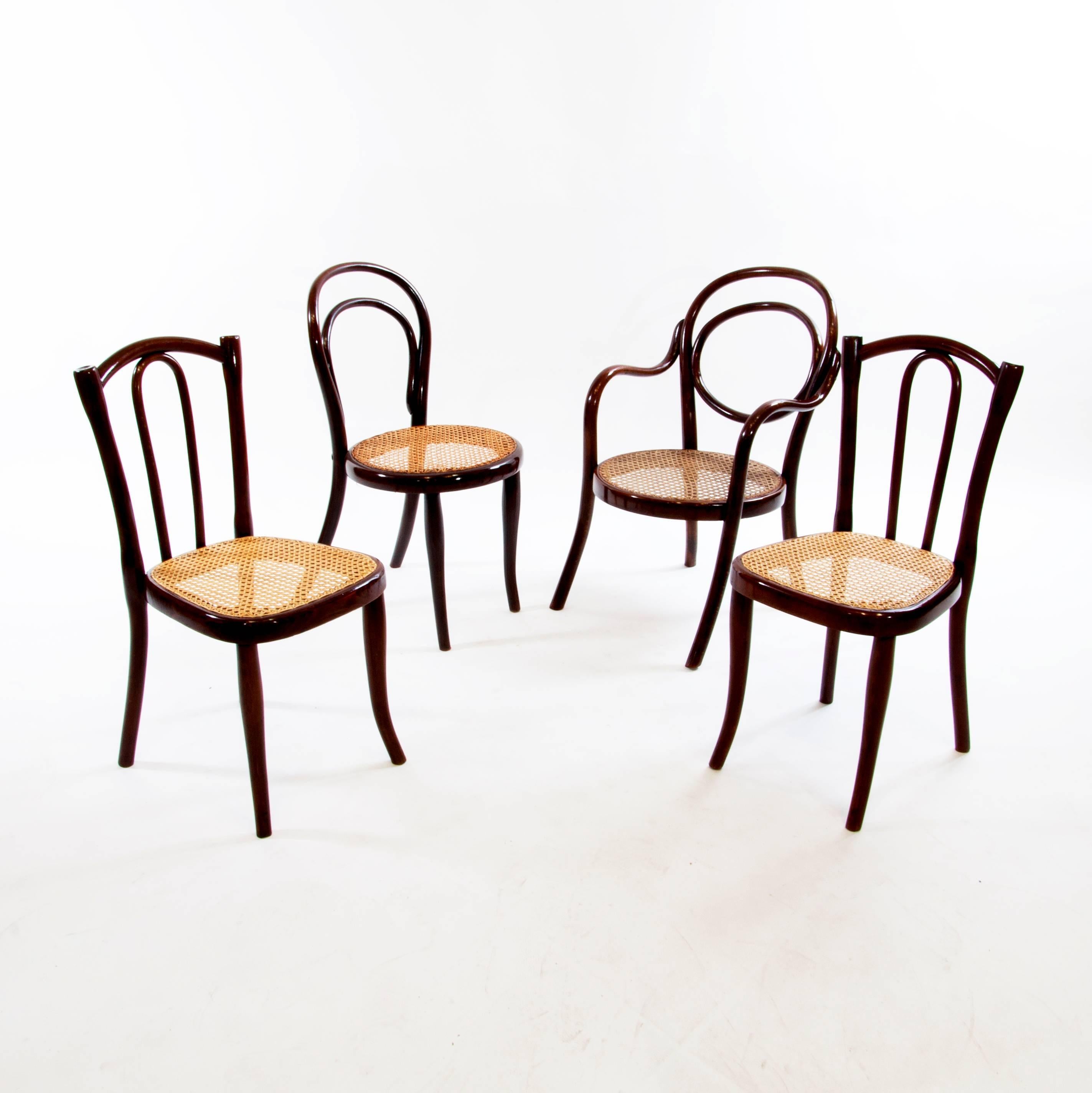 Stained Thonet Children Bentwood Chair No. 1 For Sale