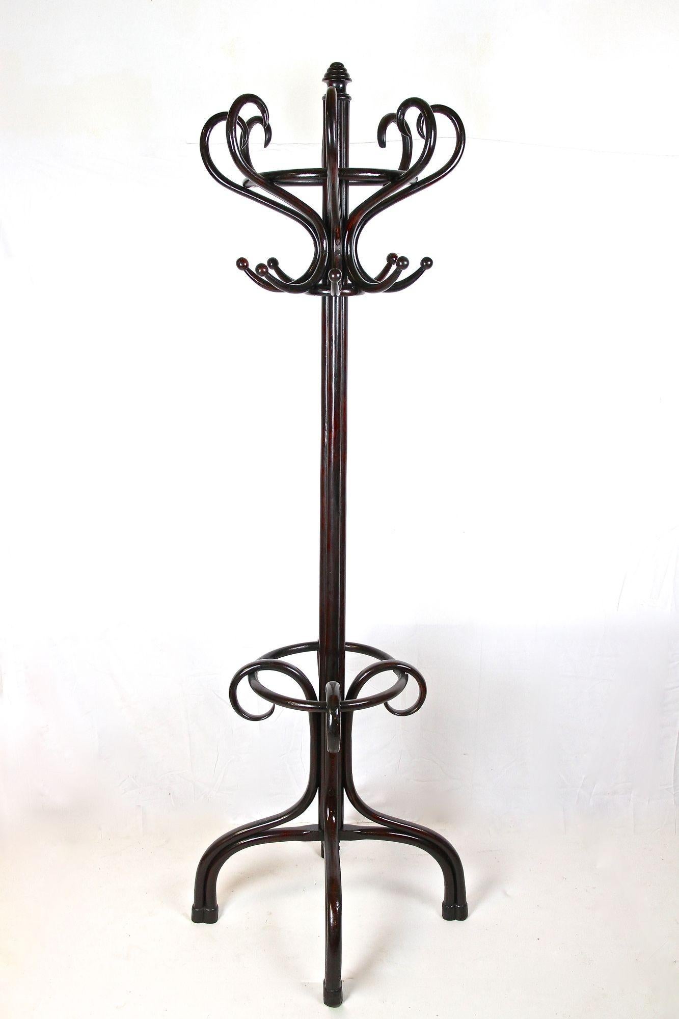 Thonet Garderobenständer/ Garderobe Stand Bugholz poliert, Jugendstil, AT ca. 1905 6