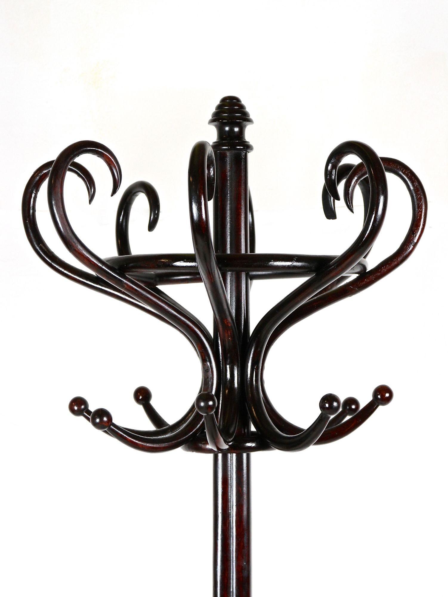 Thonet Coat Rack/ Wardrobe Stand Bentwood Polished, Art Nouveau, AT ca. 1905 For Sale 9