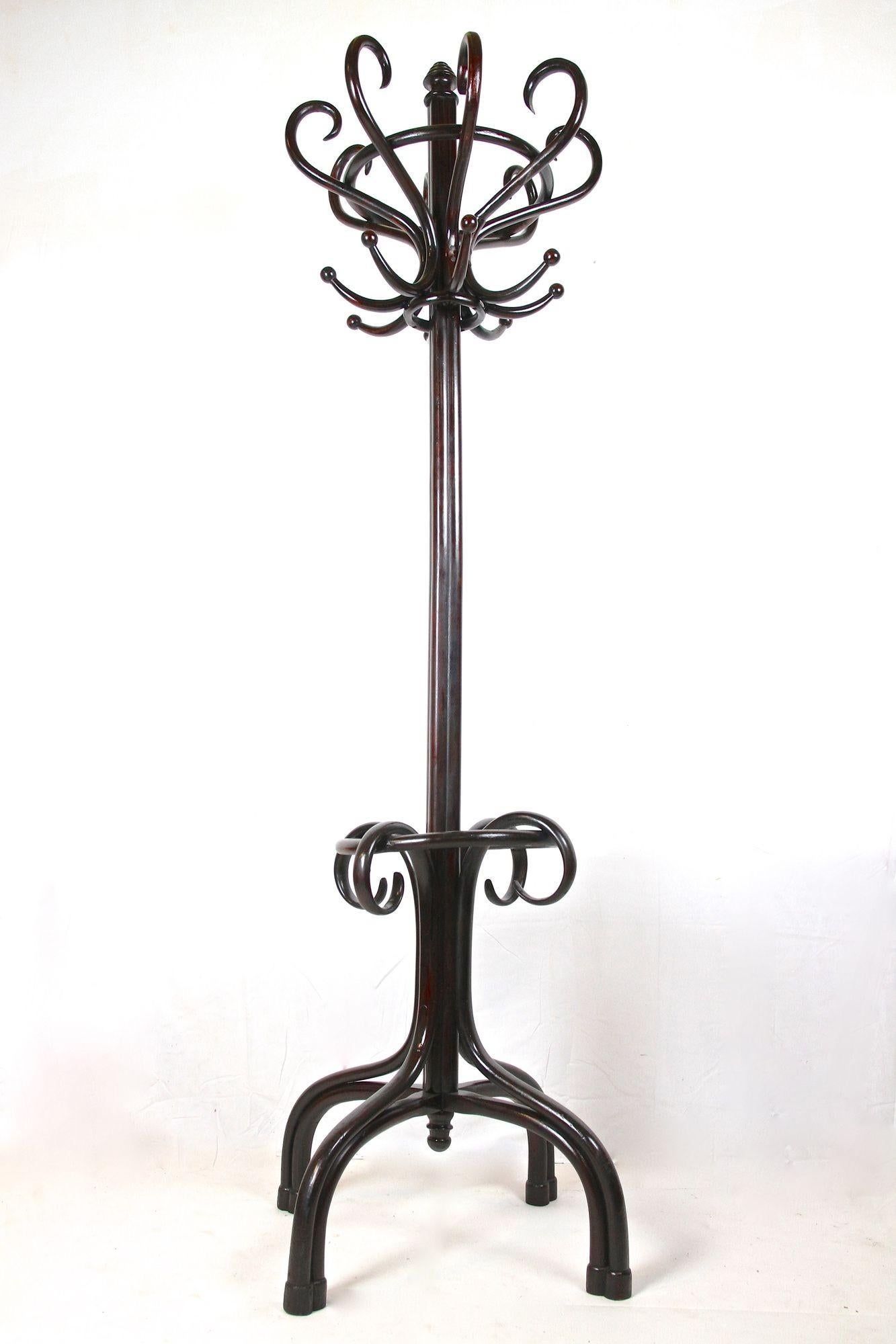 Thonet Garderobenständer/ Garderobe Stand Bugholz poliert, Jugendstil, AT ca. 1905 10