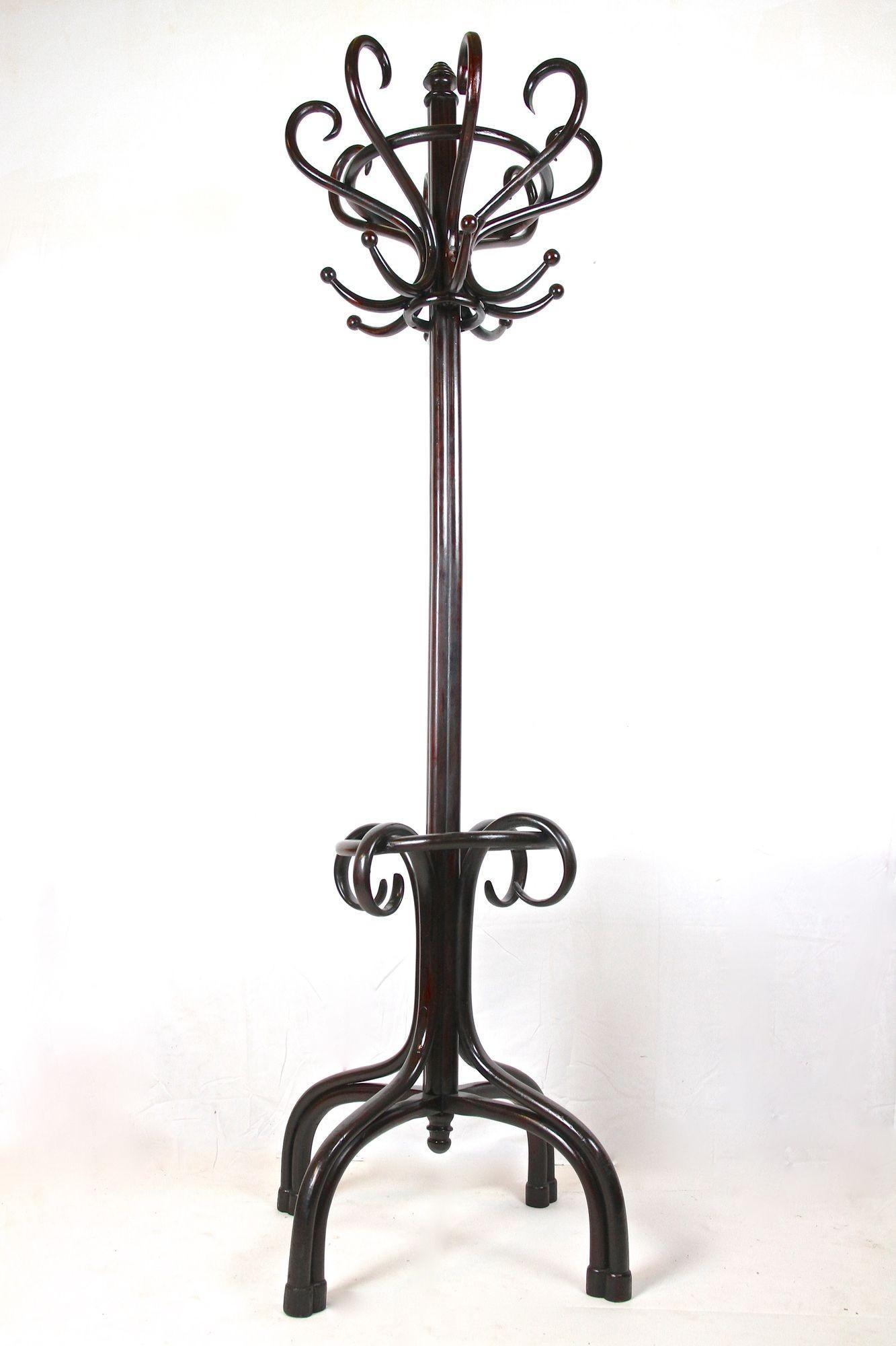 Thonet Garderobenständer/ Garderobe Stand Bugholz poliert, Jugendstil, AT ca. 1905 im Angebot 10