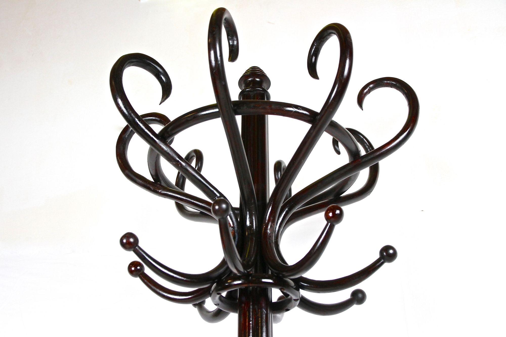 20th Century Thonet Coat Rack/ Wardrobe Stand Bentwood Polished, Art Nouveau, AT ca. 1905 For Sale