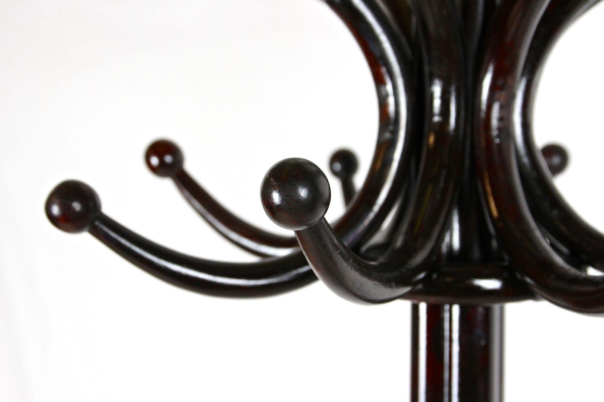 Thonet Coat Rack/ Wardrobe Stand Bentwood Polished, Art Nouveau, AT ca. 1905 For Sale 2