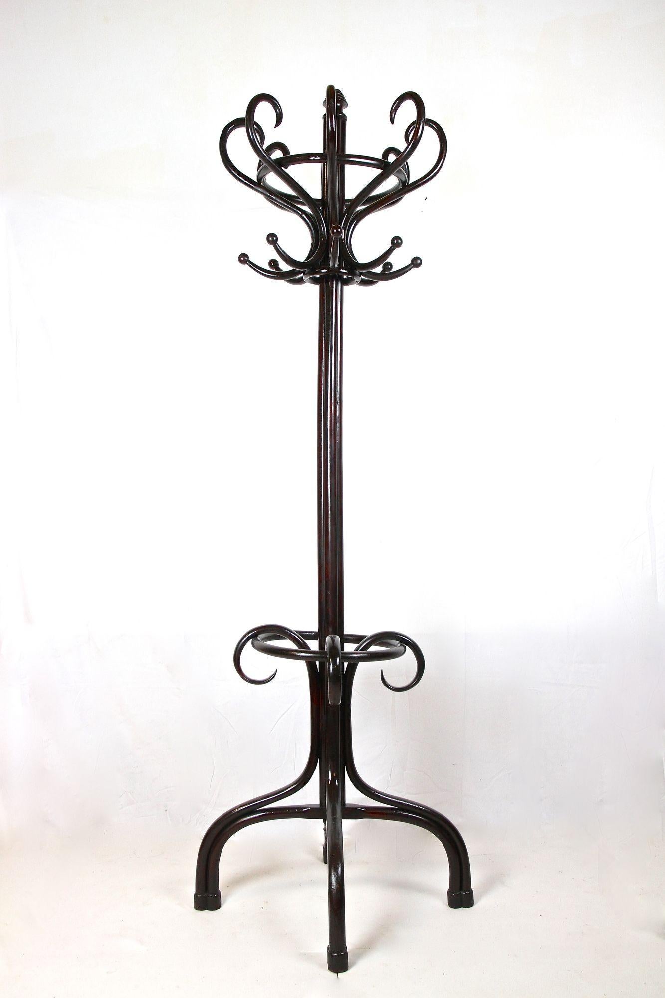 Thonet Coat Rack/ Wardrobe Stand Bentwood Polished, Art Nouveau, AT ca. 1905 For Sale 4