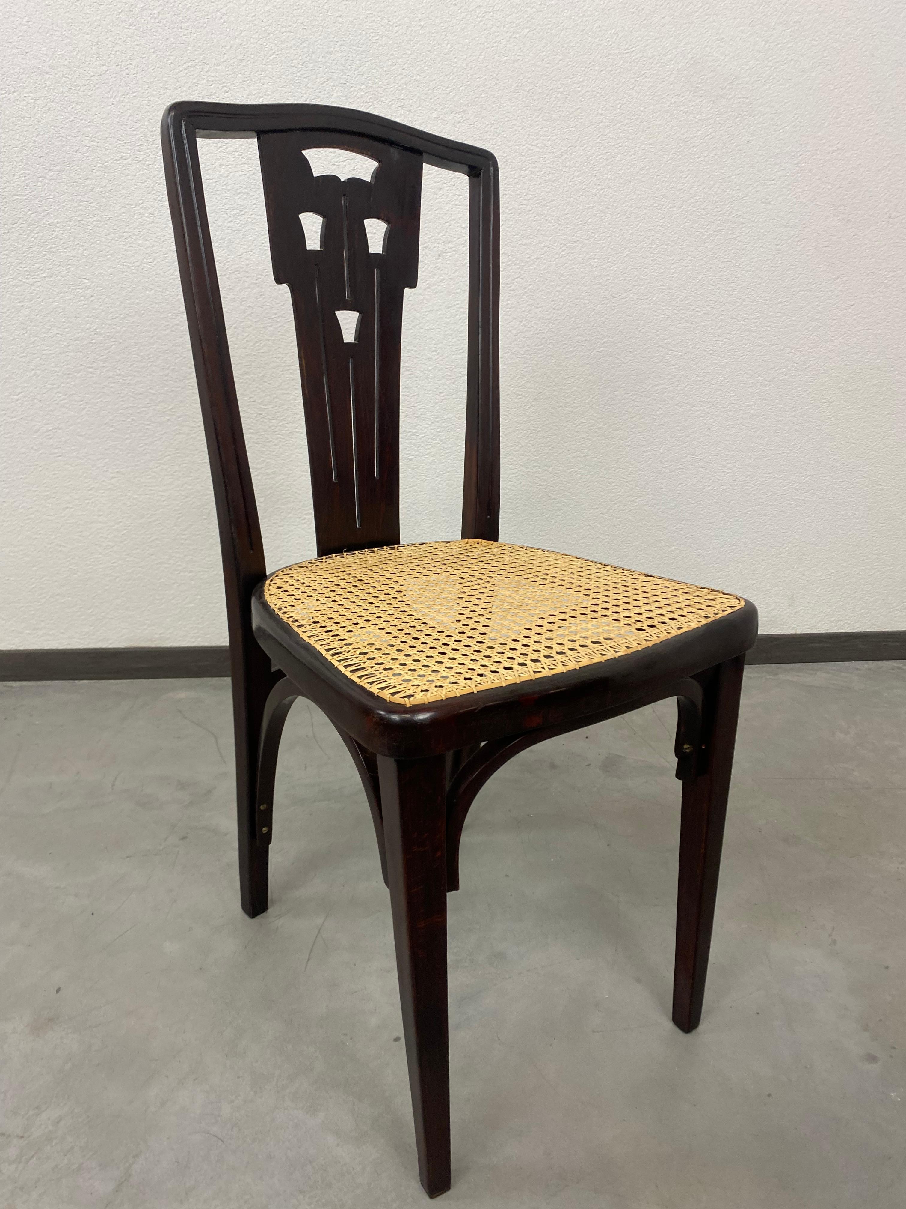 Thonet dining chair no.732 tulip variant. professionally stained and repolished with new handmade rattan seat.