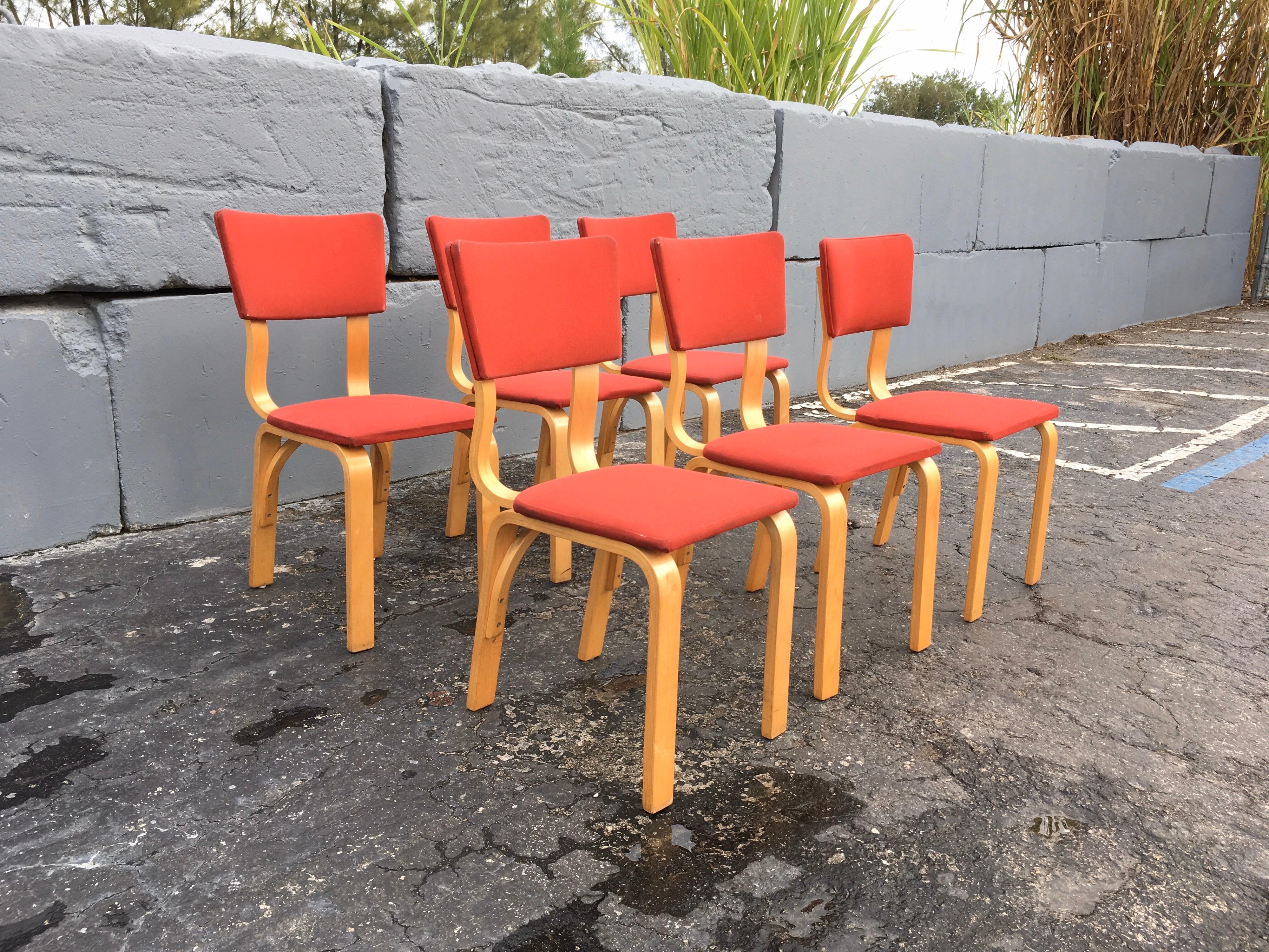 Thonet Dining Chairs, Bentwood and Fabric, Mid-Century Modern In Good Condition In Miami, FL