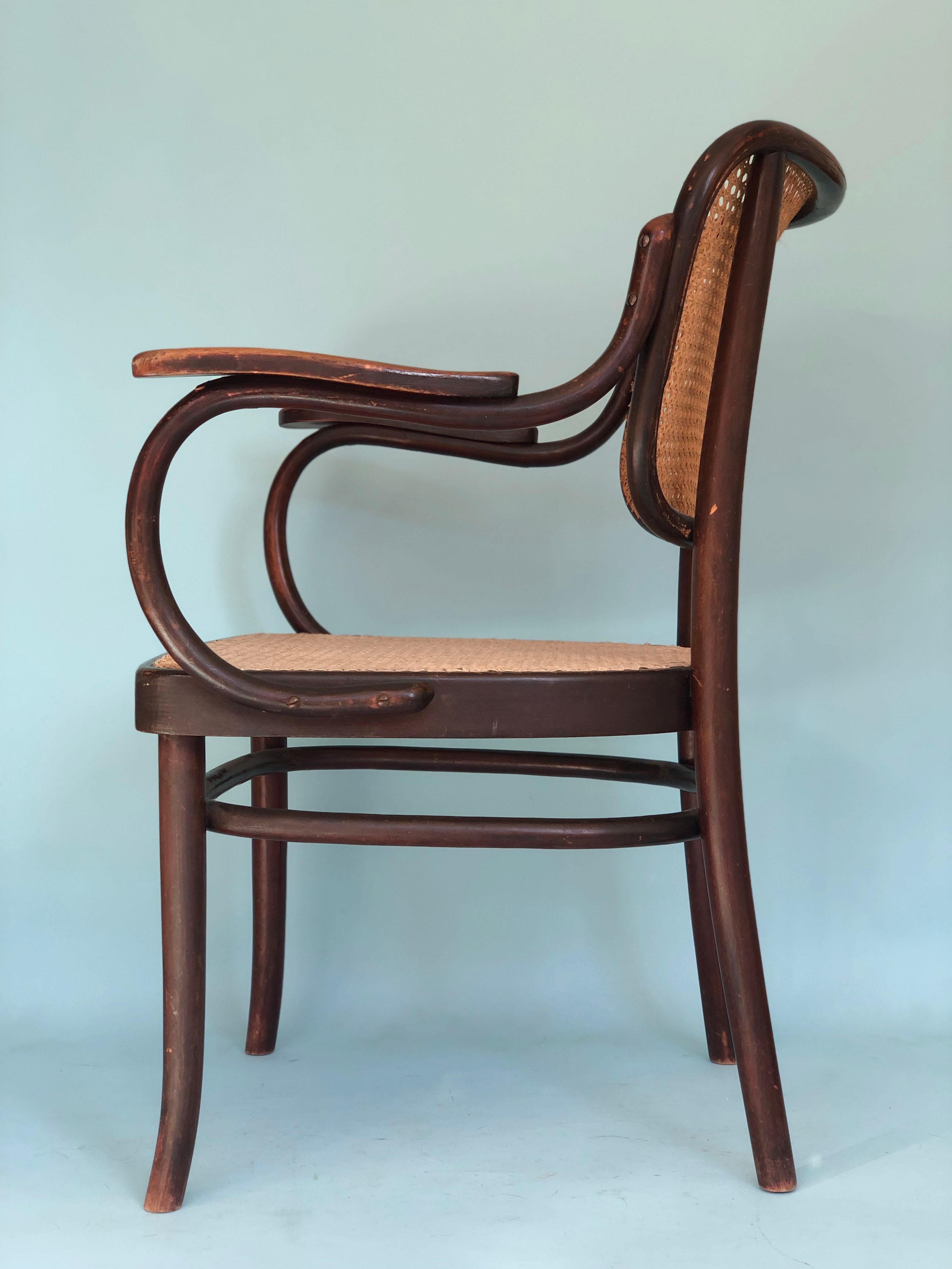 Early 20th Century Thonet Mundus Armchair Model A 283f A.G. Schneck, 1920