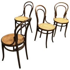 Thonet no. 14 Dining Chairs, 1950s, Set of 4