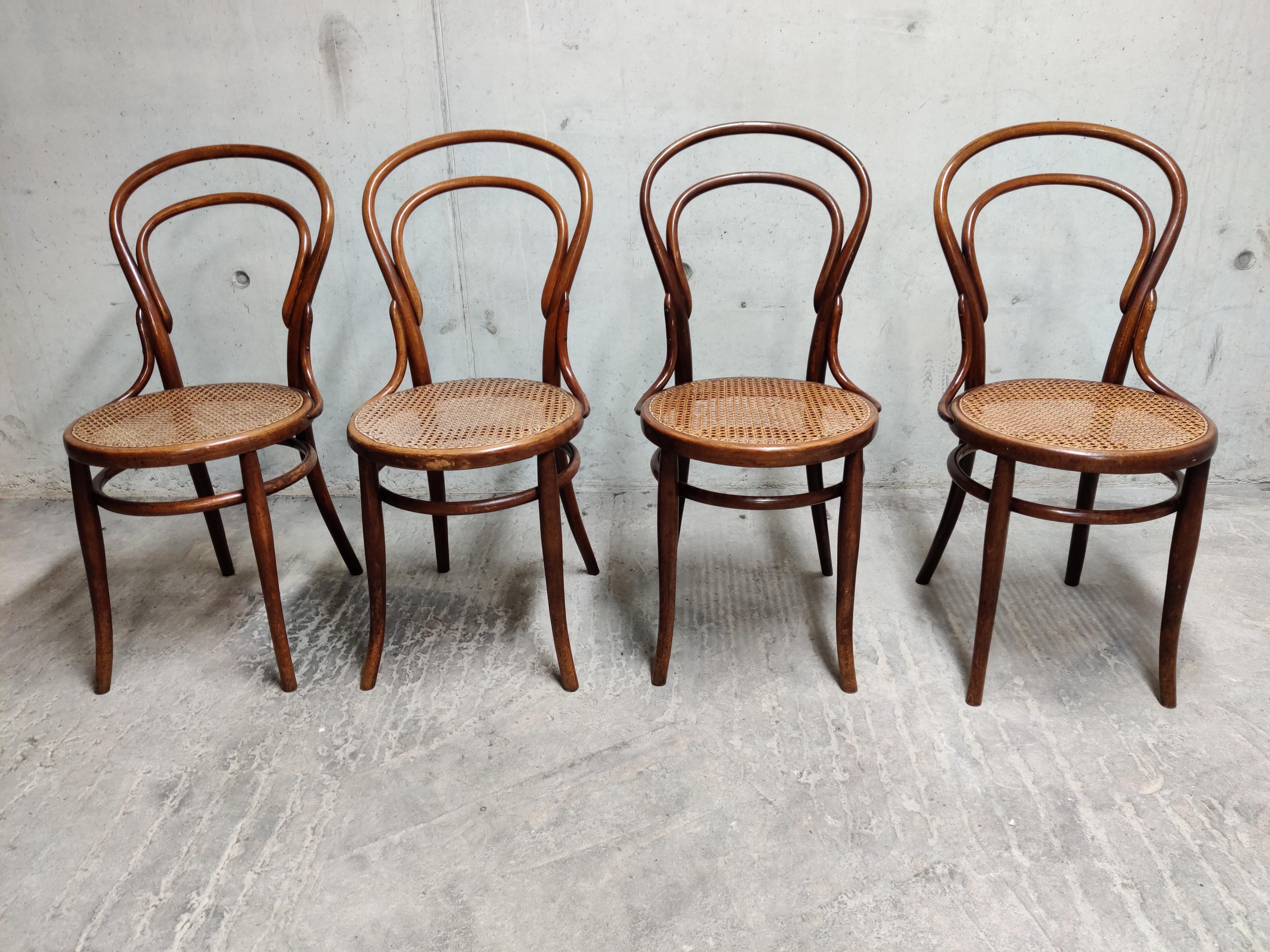 Vienna Secession Thonet No. 14 Dining Chairs by J&J Kohn, 1950s, Set of 4