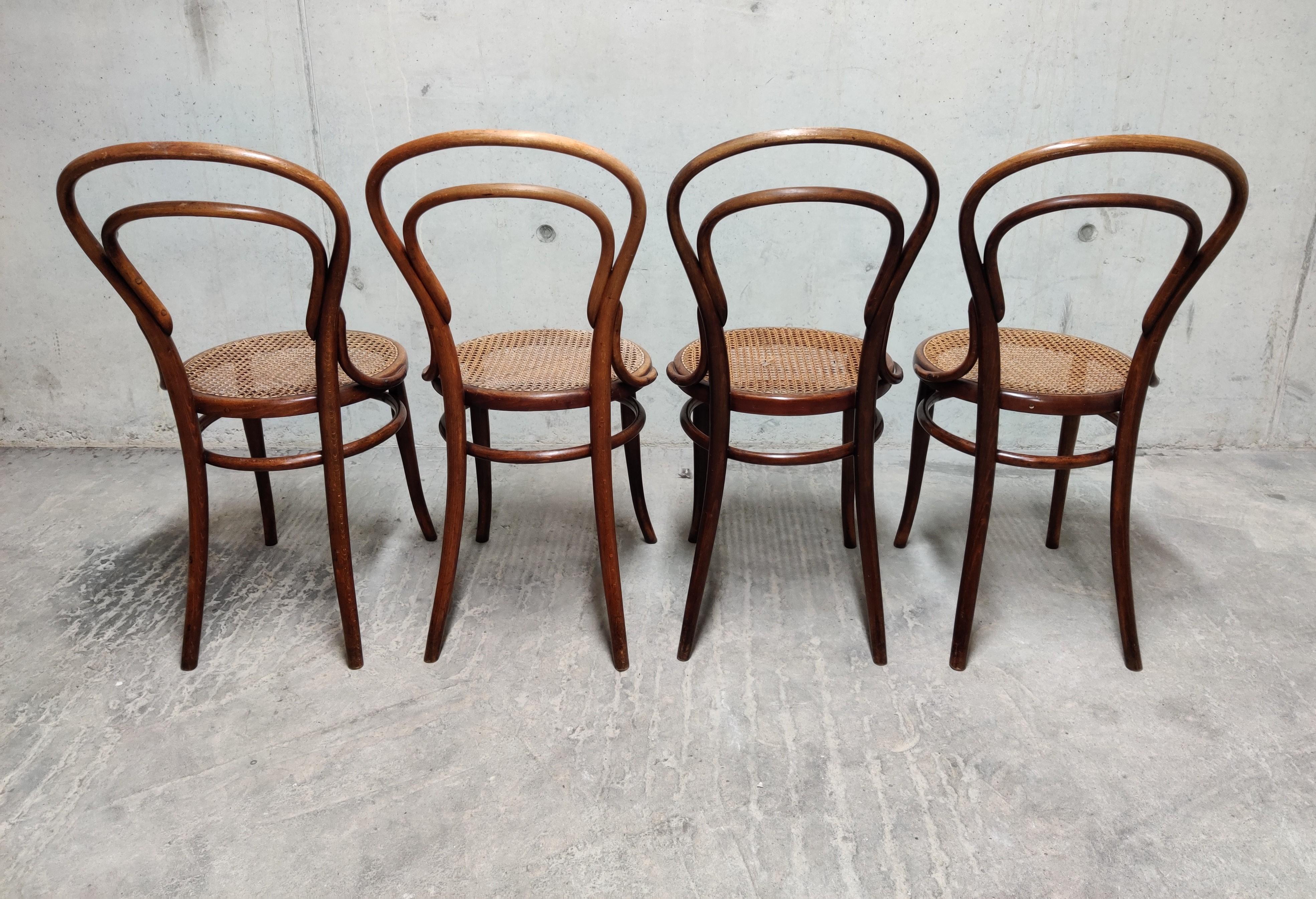 Thonet No. 14 Dining Chairs by J&J Kohn, 1950s, Set of 4 In Good Condition In Leuven, Vlaams Gewest