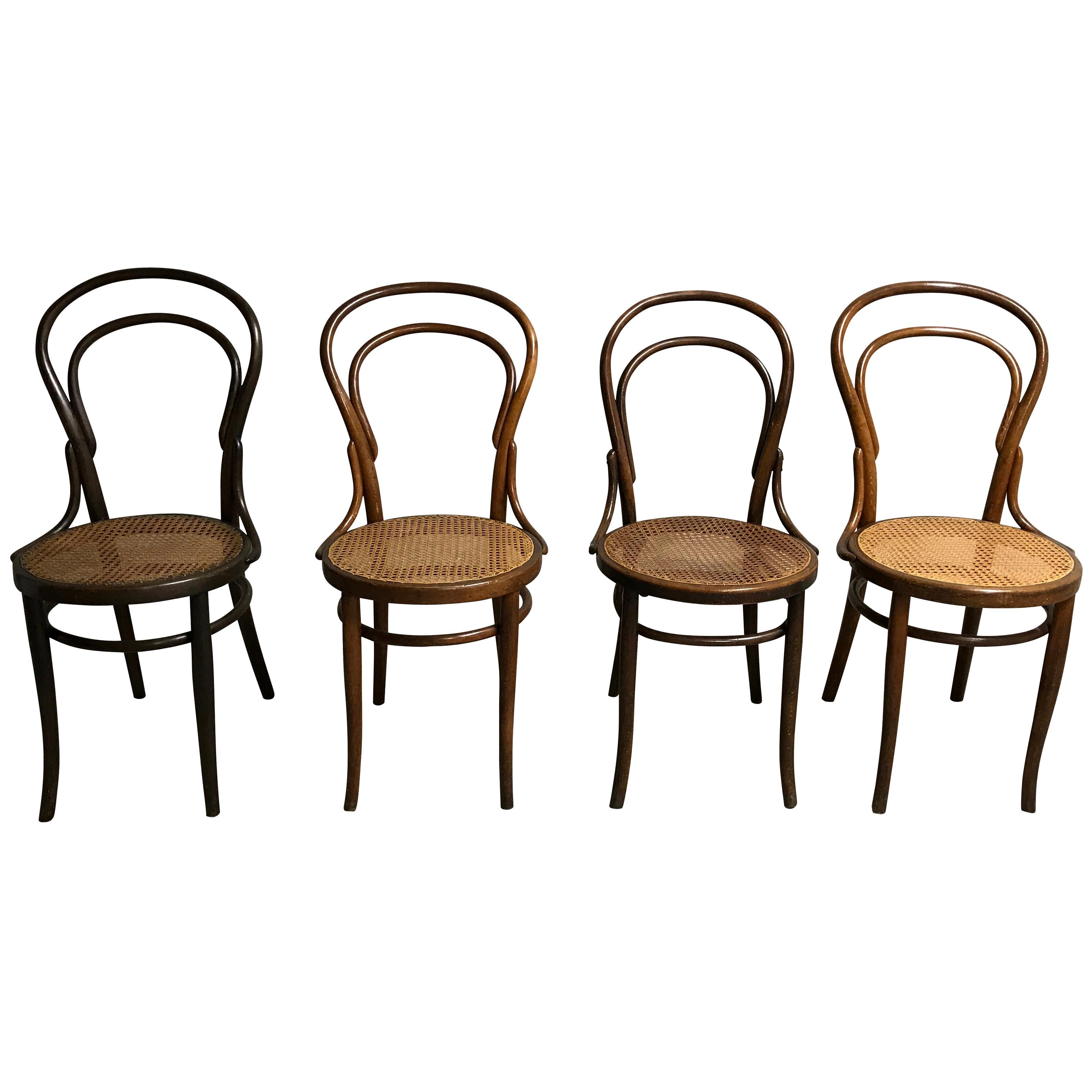 Thonet No. 14 Dining Chairs by J&J Kohn, 1950s, Set of 4
