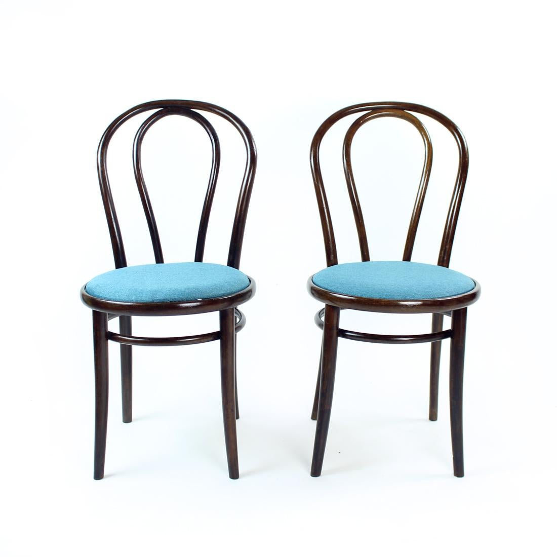 Magnifique chaise de salle à manger après une restauration complète. La chaise est le modèle Thonet No. 16, elle a été produite par TON dans les années 1960. Le fauteuil a été trouvé en mauvais état et nous l'avons fait restaurer en bon état. Le