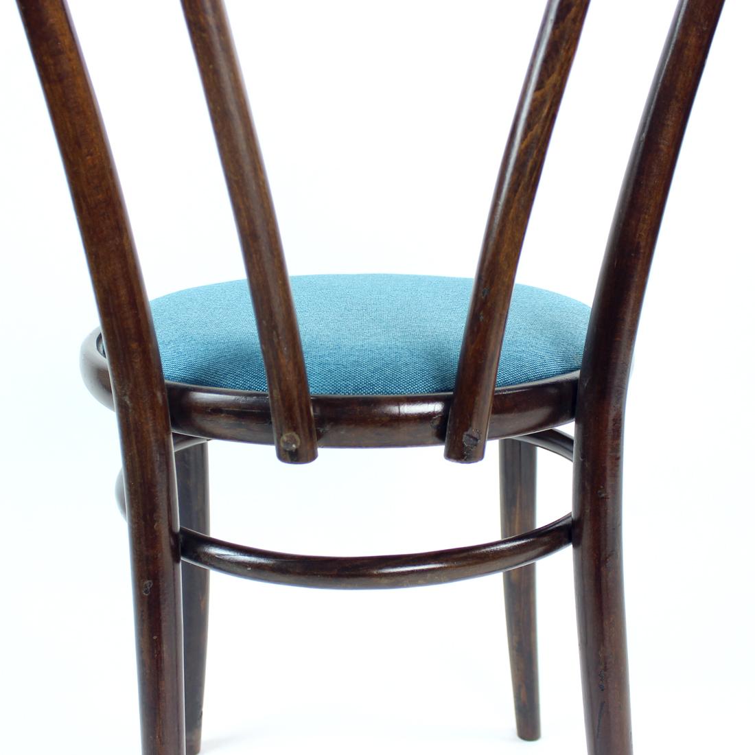 Thonet No. 16 Bistro Chair Model by Ton, Czechoslovakia 1960s For Sale 13