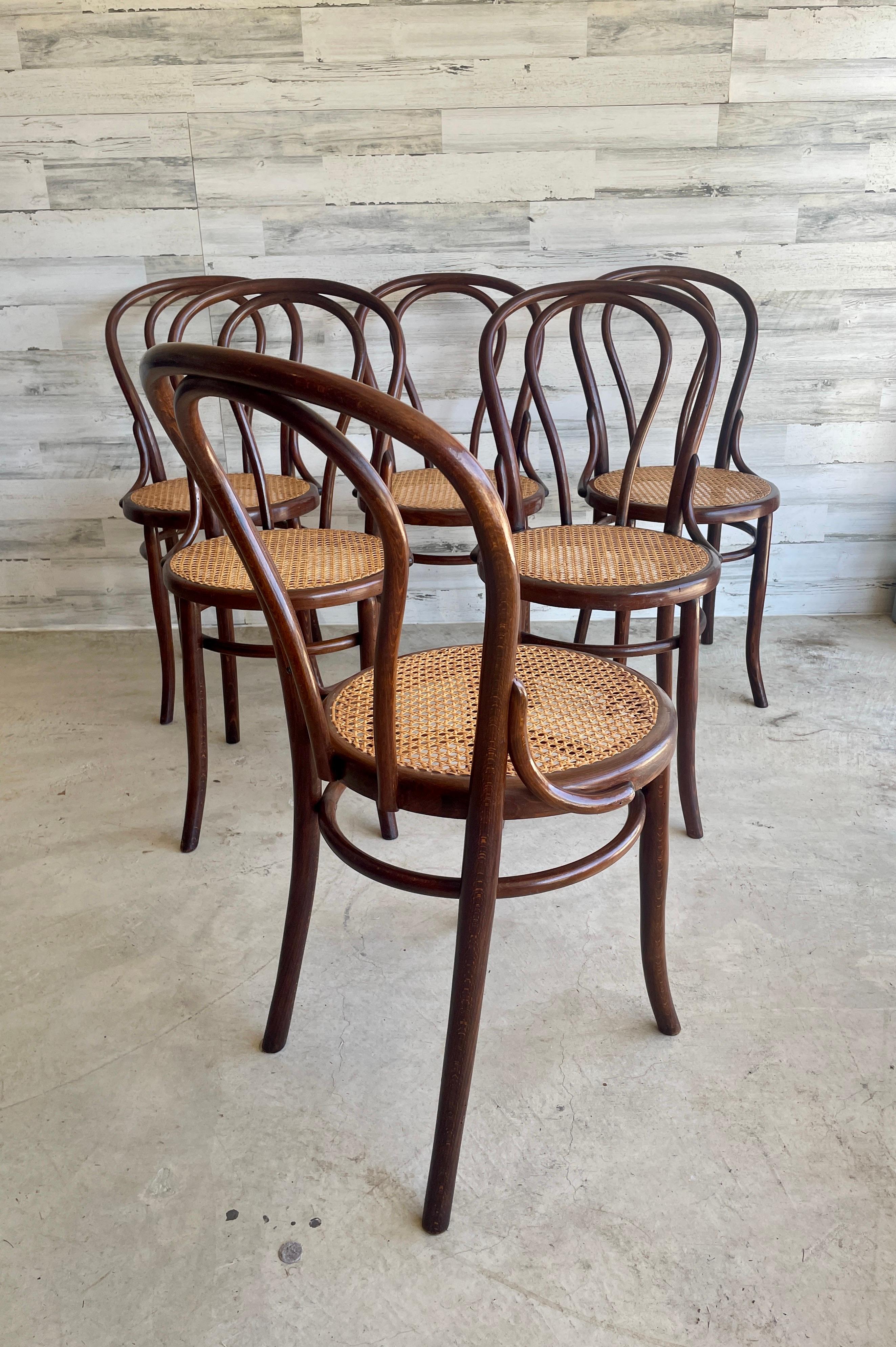 Thonet No 18 Cane & Bentwood Dining Chairs For Sale 5