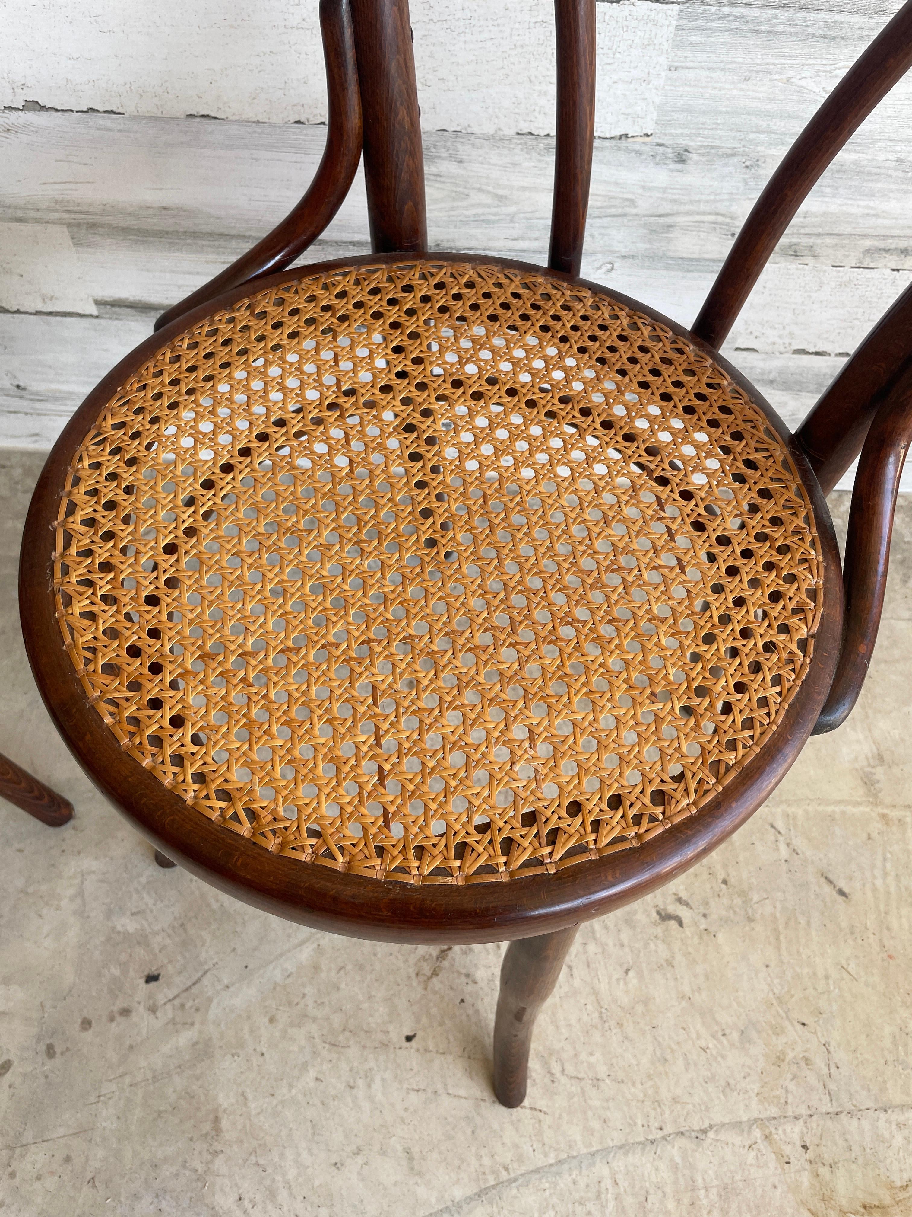 Thonet No 18 Cane & Bentwood Dining Chairs For Sale 6
