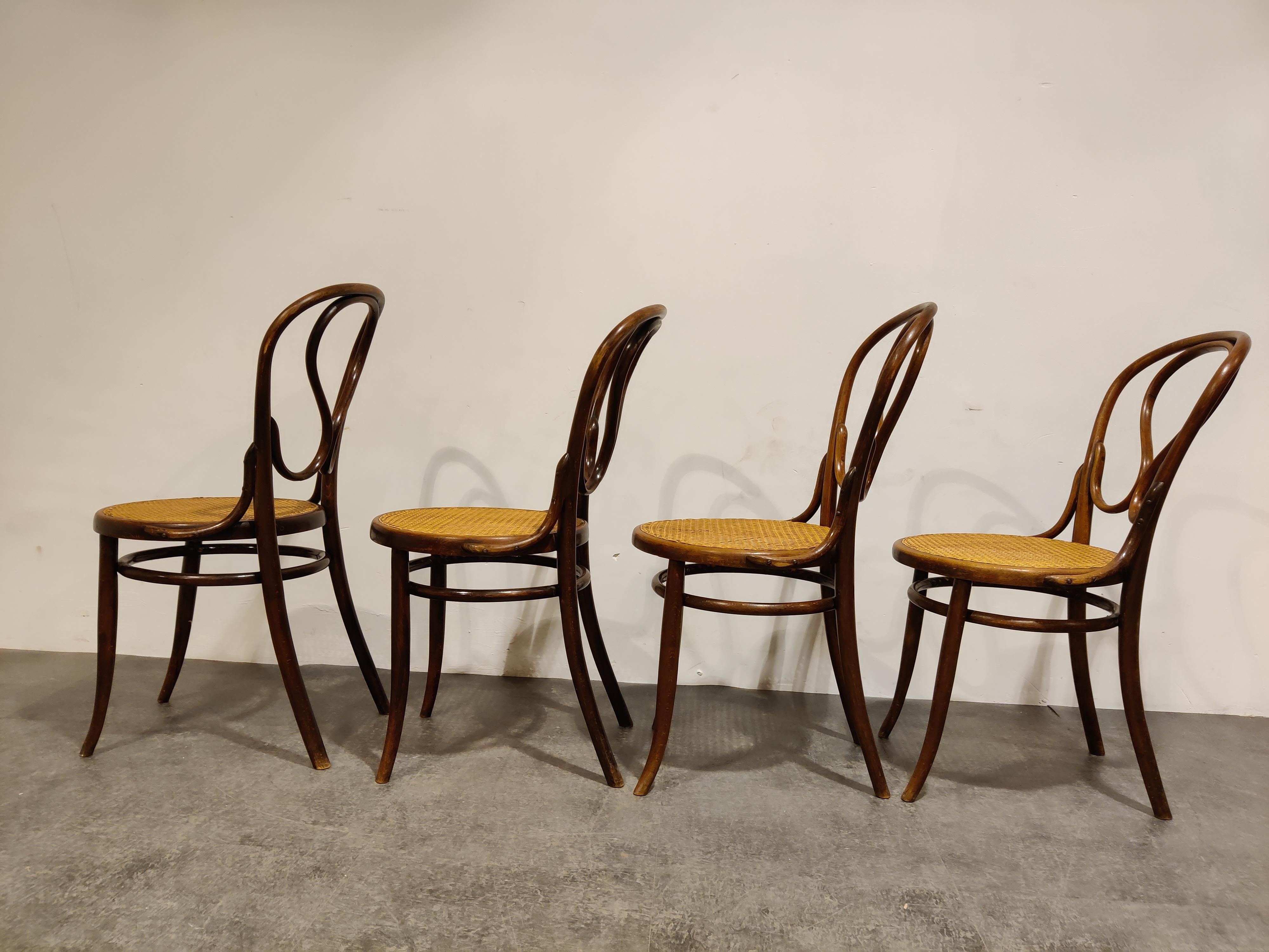 Thonet no. 20 Dining Chairs by J&J Kohn, 1900s, Set of 4 In Good Condition In HEVERLEE, BE