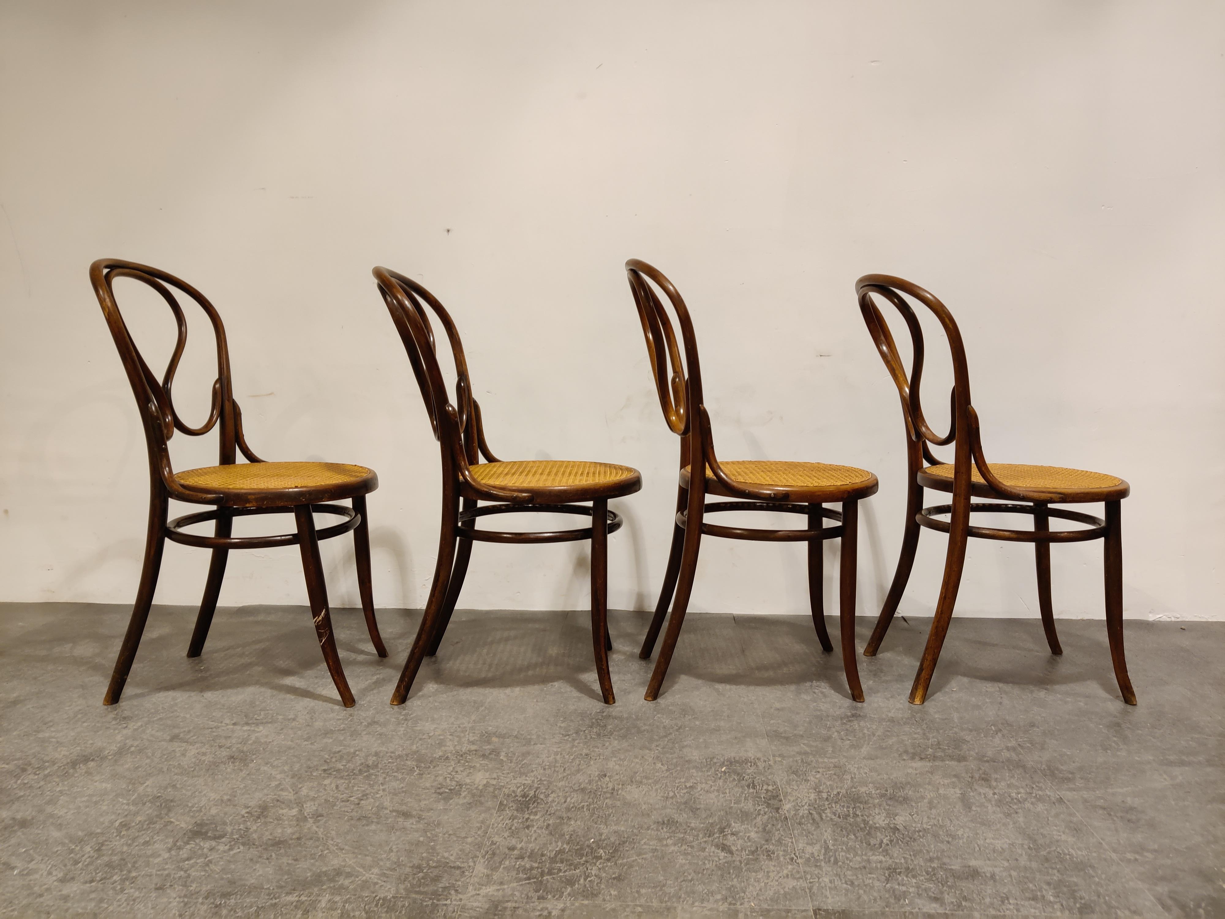 Cane Thonet no. 20 Dining Chairs by J&J Kohn, 1900s, Set of 4