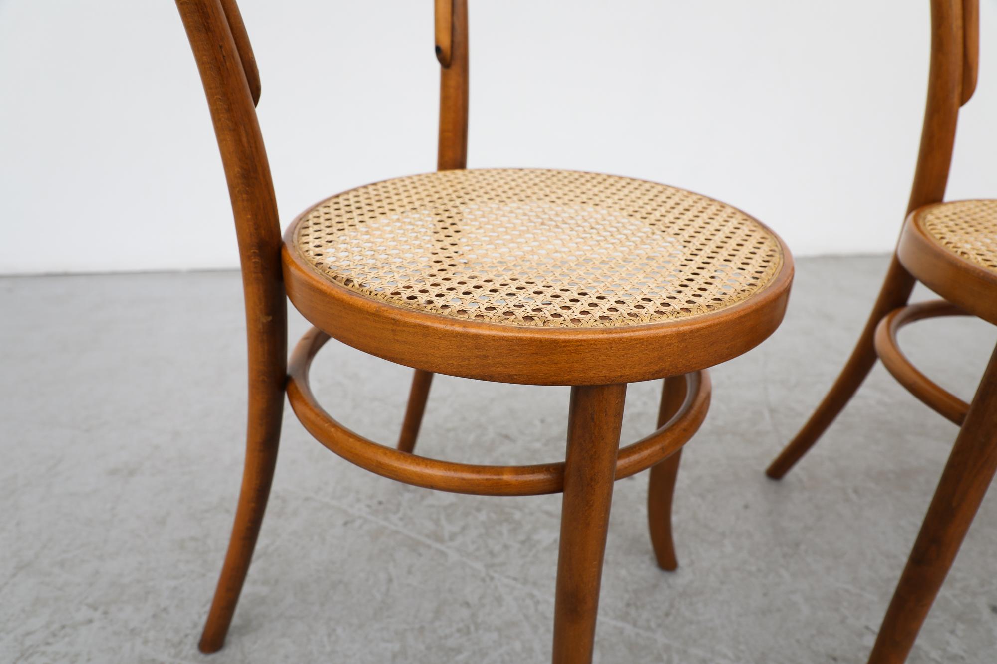Vintage Thonet No. 14 Bentwood and Cane Café Side Chairs with Cane Seats For Sale 2