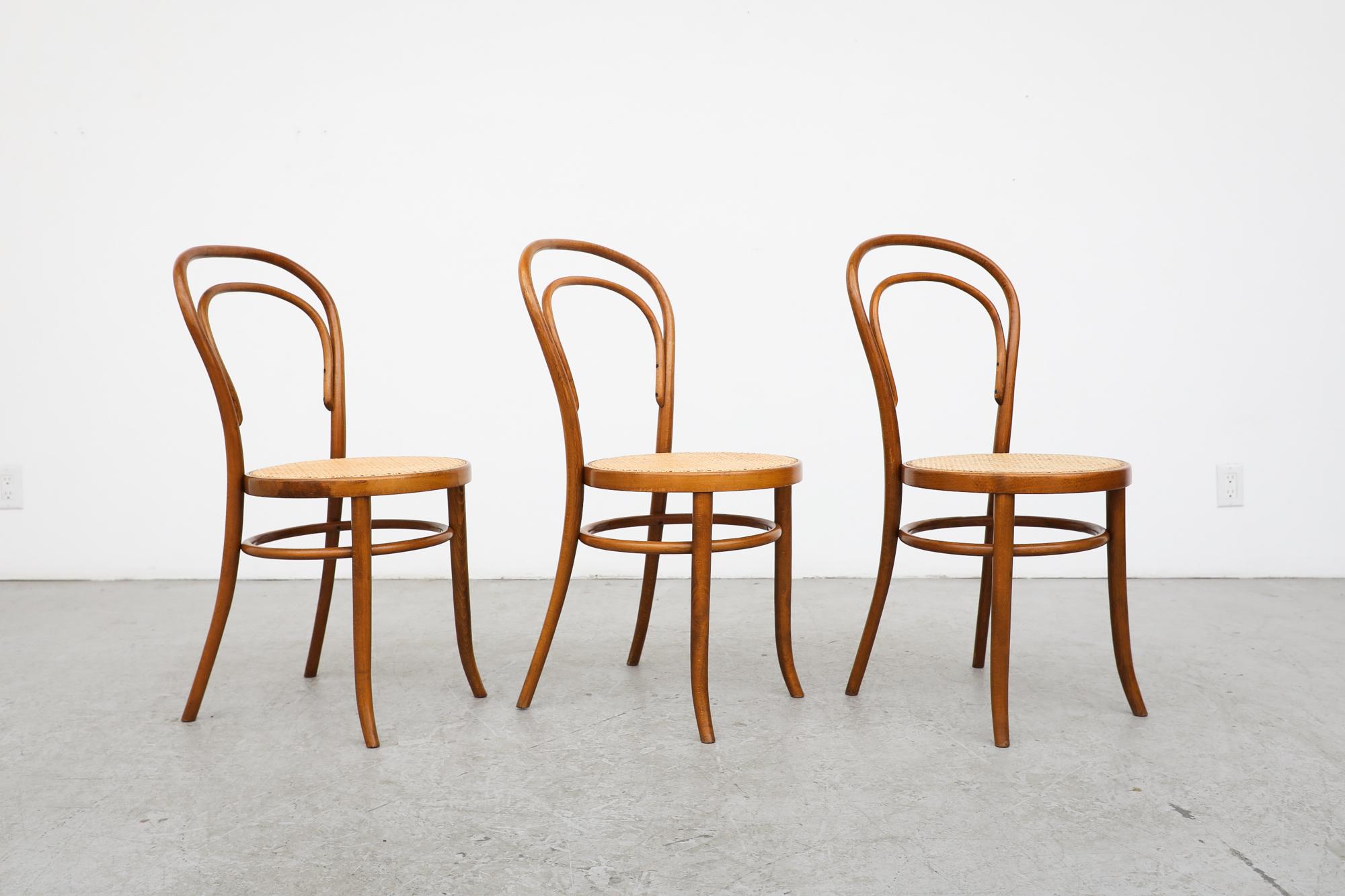 Austrian Vintage Thonet No. 14 Bentwood and Cane Café Side Chairs with Cane Seats For Sale