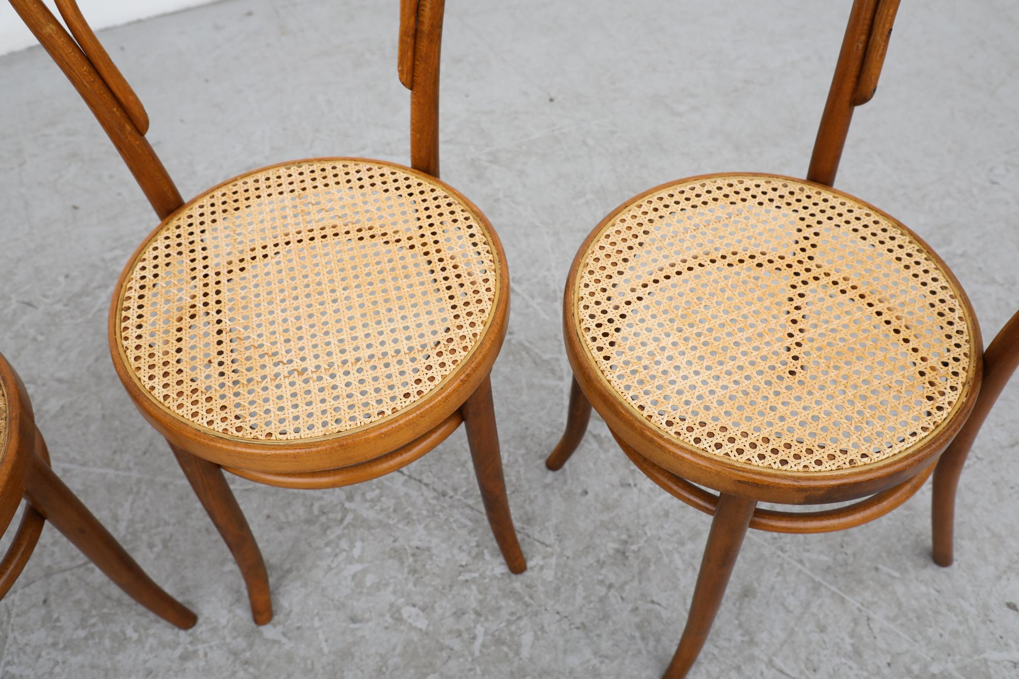20th Century Vintage Thonet No. 14 Bentwood and Cane Café Side Chairs with Cane Seats For Sale