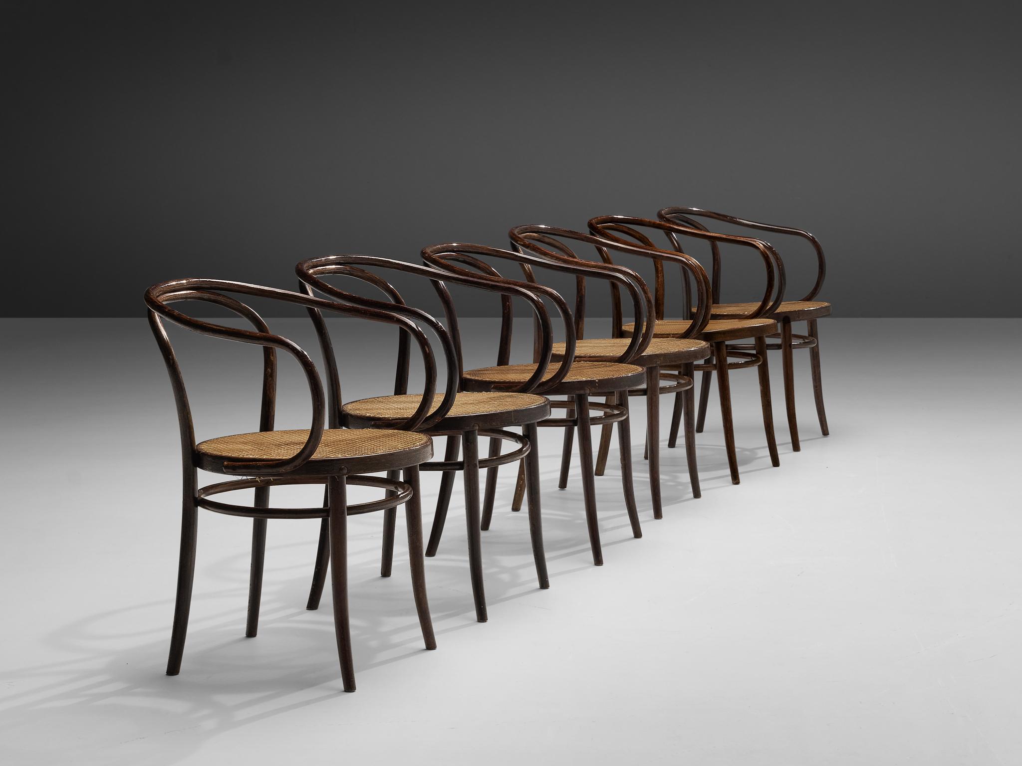Thonet Patinated ‘Vienna’ Dining Chairs Model 9  3