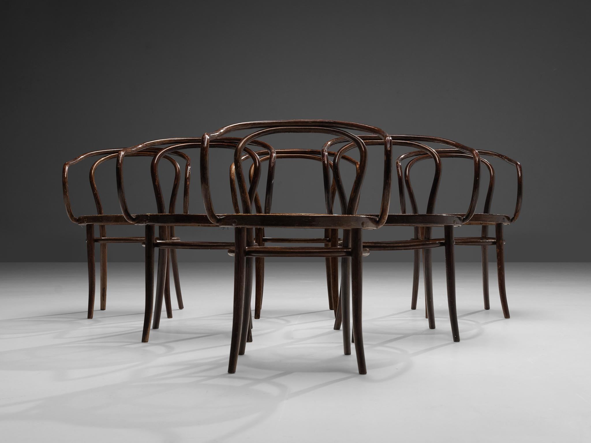 Thonet Patinated ‘Vienna’ Dining Chairs Model 9  5