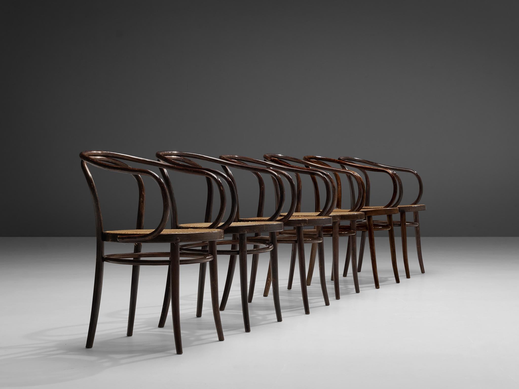 Thonet Patinated ‘Vienna’ Dining Chairs Model 9  1
