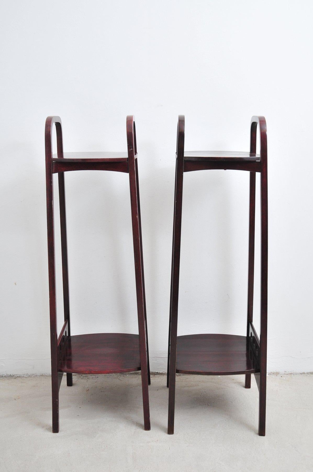 Hêtre Thonet - Porte-plantes (2) - Beeche en vente
