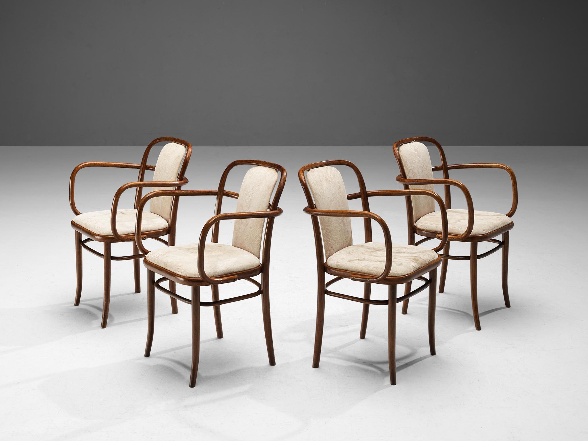 TON, armchairs, bentwood, fabric, Czech Republic, 1930s.

Elegant dining chairs made in bentwood. The lines and shapes are dynamic but in a soft sense, the light color of the backrest and seating area also add to this serene appearance. These