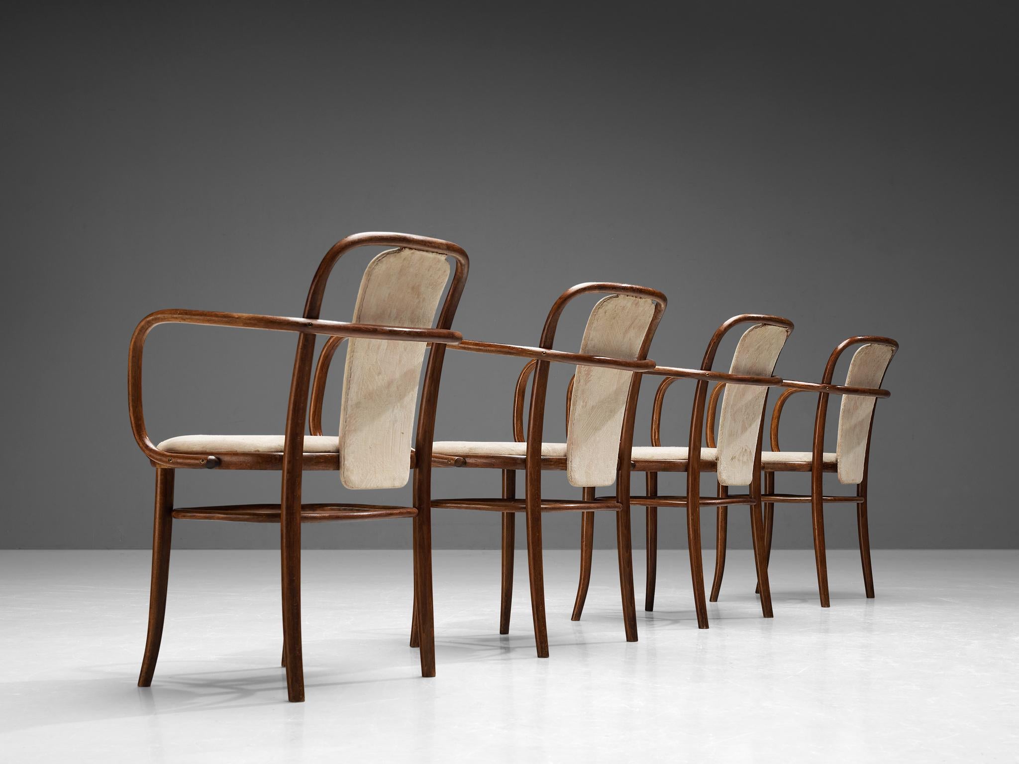 Mid-20th Century TON Set of Four Bentwood Armchairs in Light Upholstery