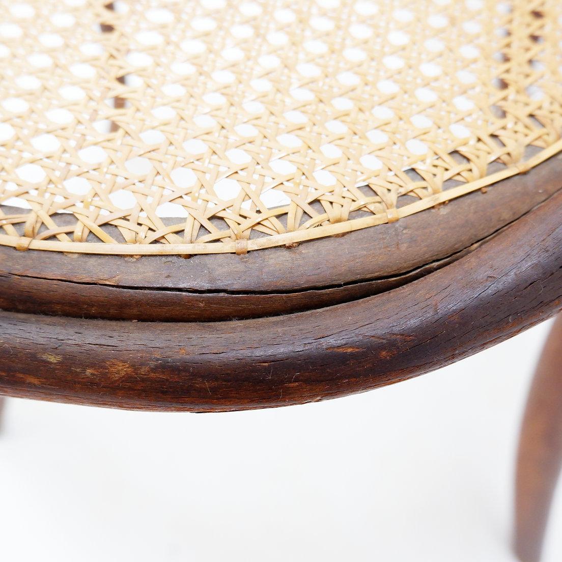 Bugholzstuhl oder Sessel im Thonet-Stil - 1950er Jahre im Angebot 4