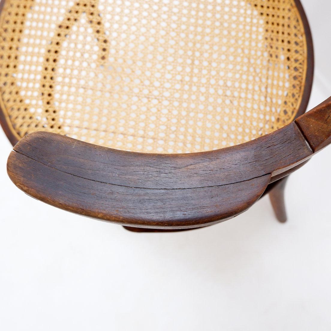 Bugholzstuhl oder Sessel im Thonet-Stil - 1950er Jahre im Angebot 5