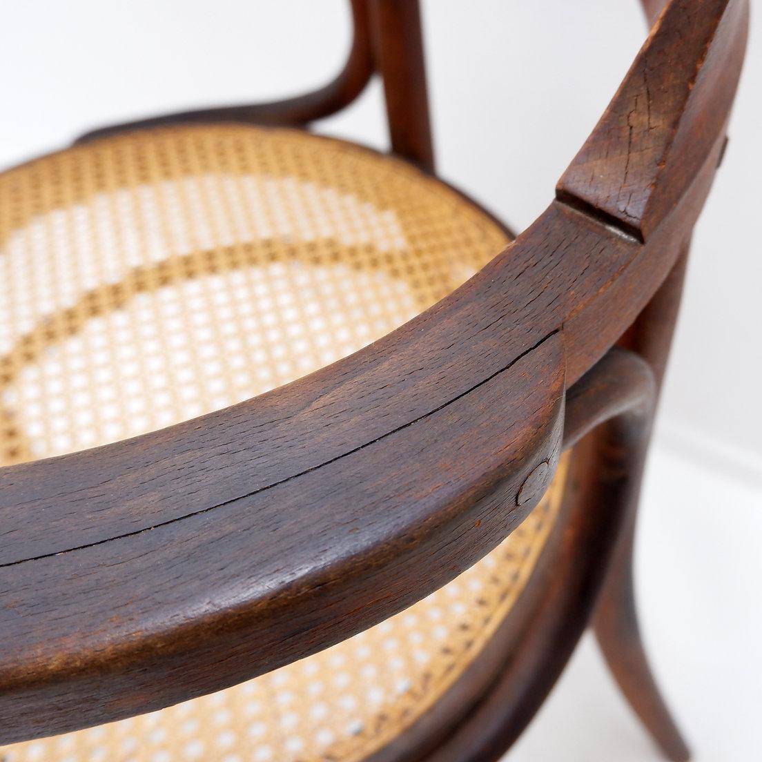 Bugholzstuhl oder Sessel im Thonet-Stil - 1950er Jahre im Angebot 6