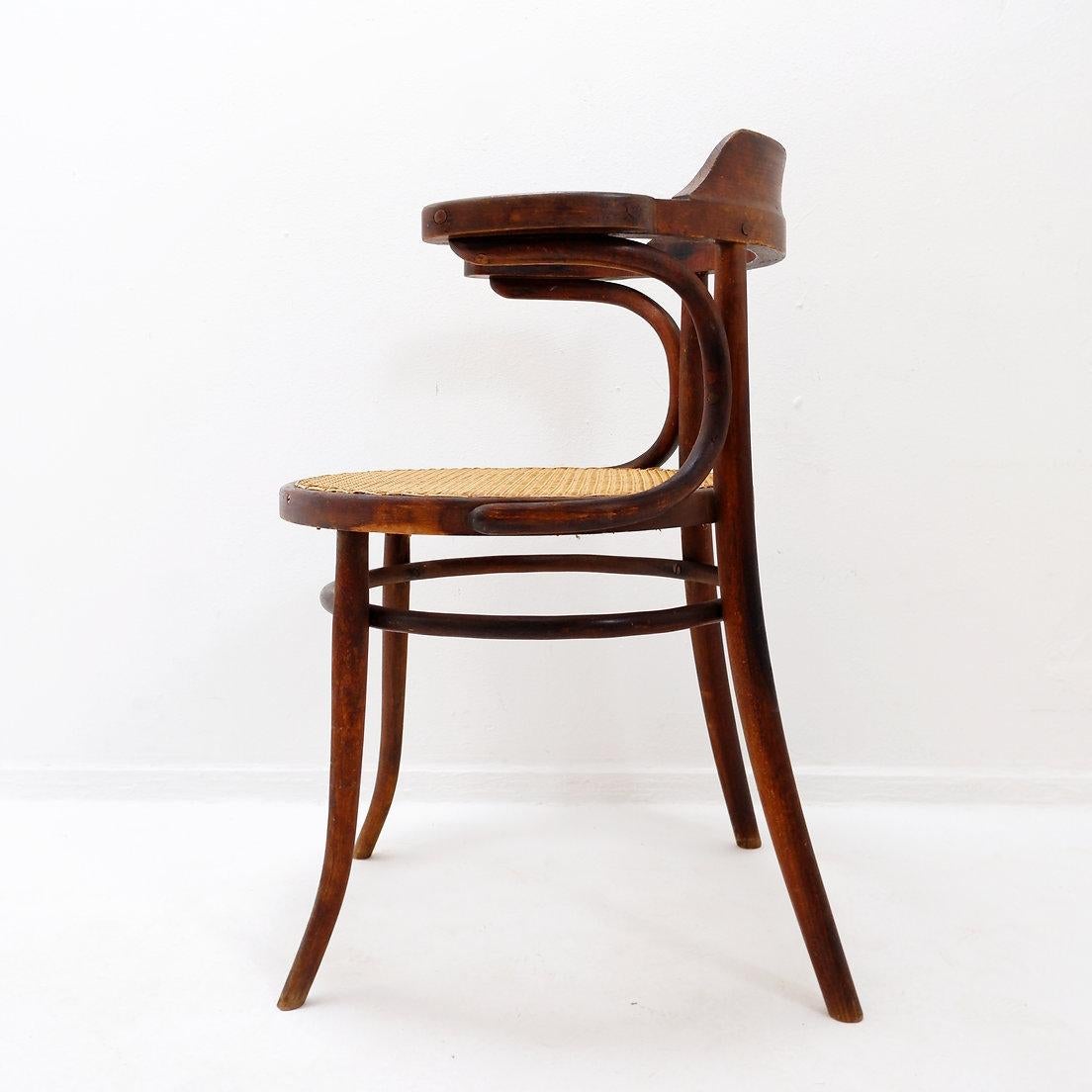 Bugholzstuhl oder Sessel im Thonet-Stil - 1950er Jahre im Angebot 7