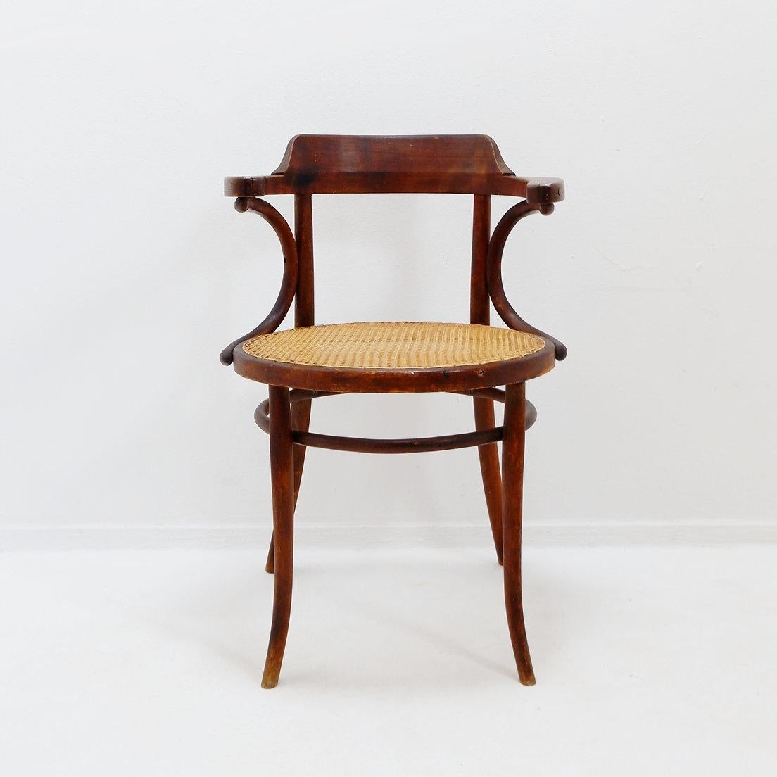 Bugholzstuhl oder Sessel im Thonet-Stil - 1950er Jahre im Angebot 2