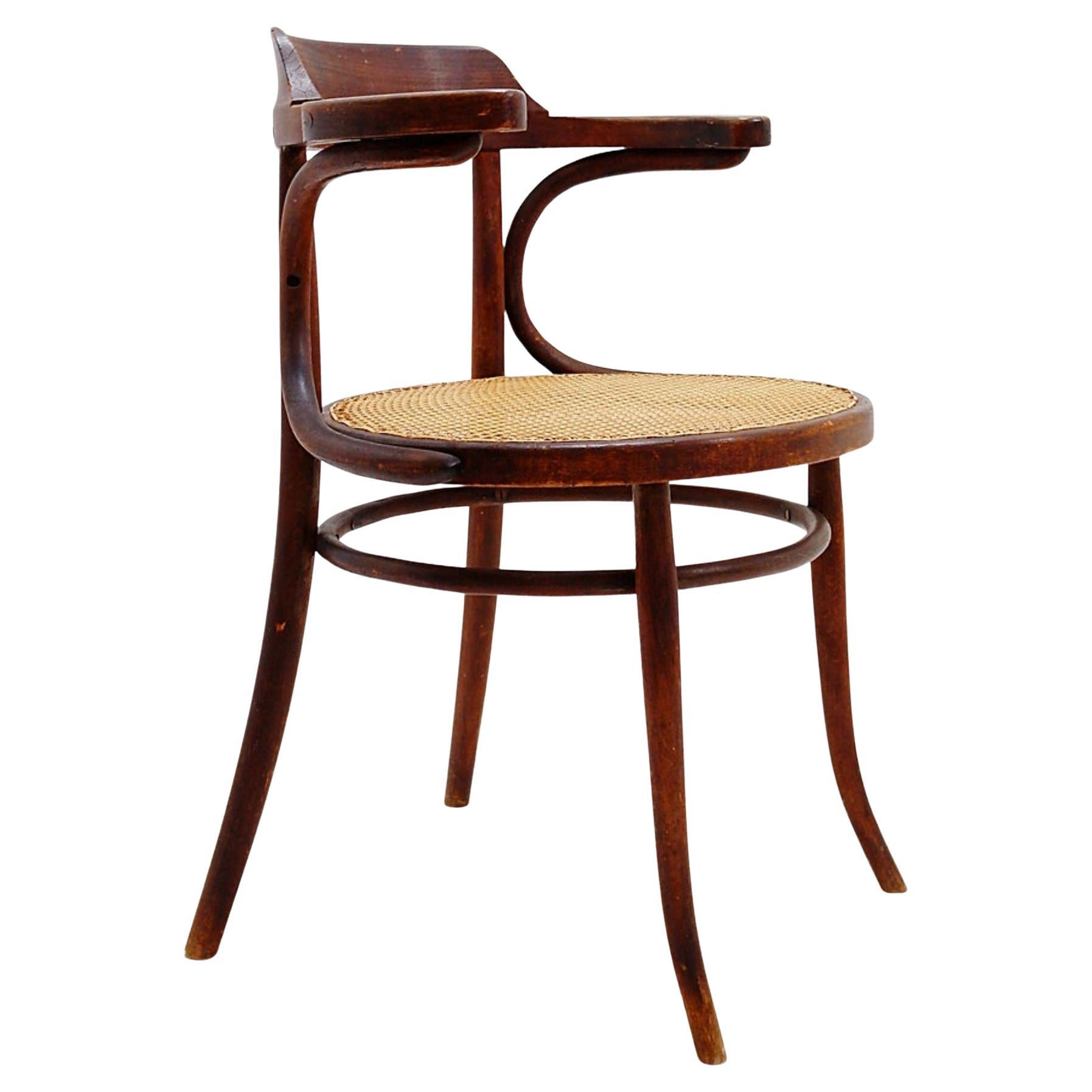 Bugholzstuhl oder Sessel im Thonet-Stil - 1950er Jahre