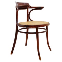 Bugholzstuhl oder Sessel im Thonet-Stil - 1950er Jahre