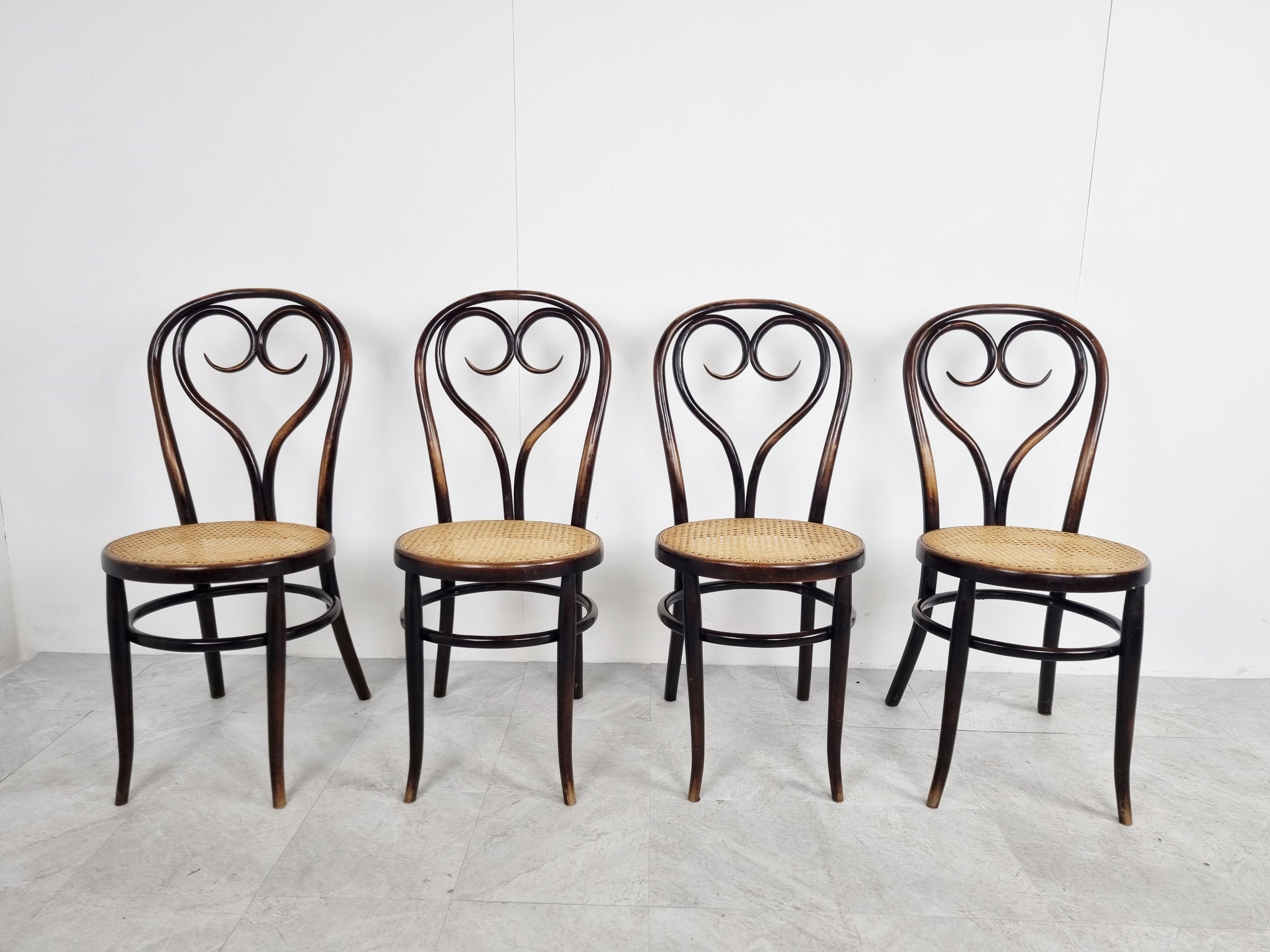 Art Nouveau Thonet style bentwood Dining Chairs, 1920s