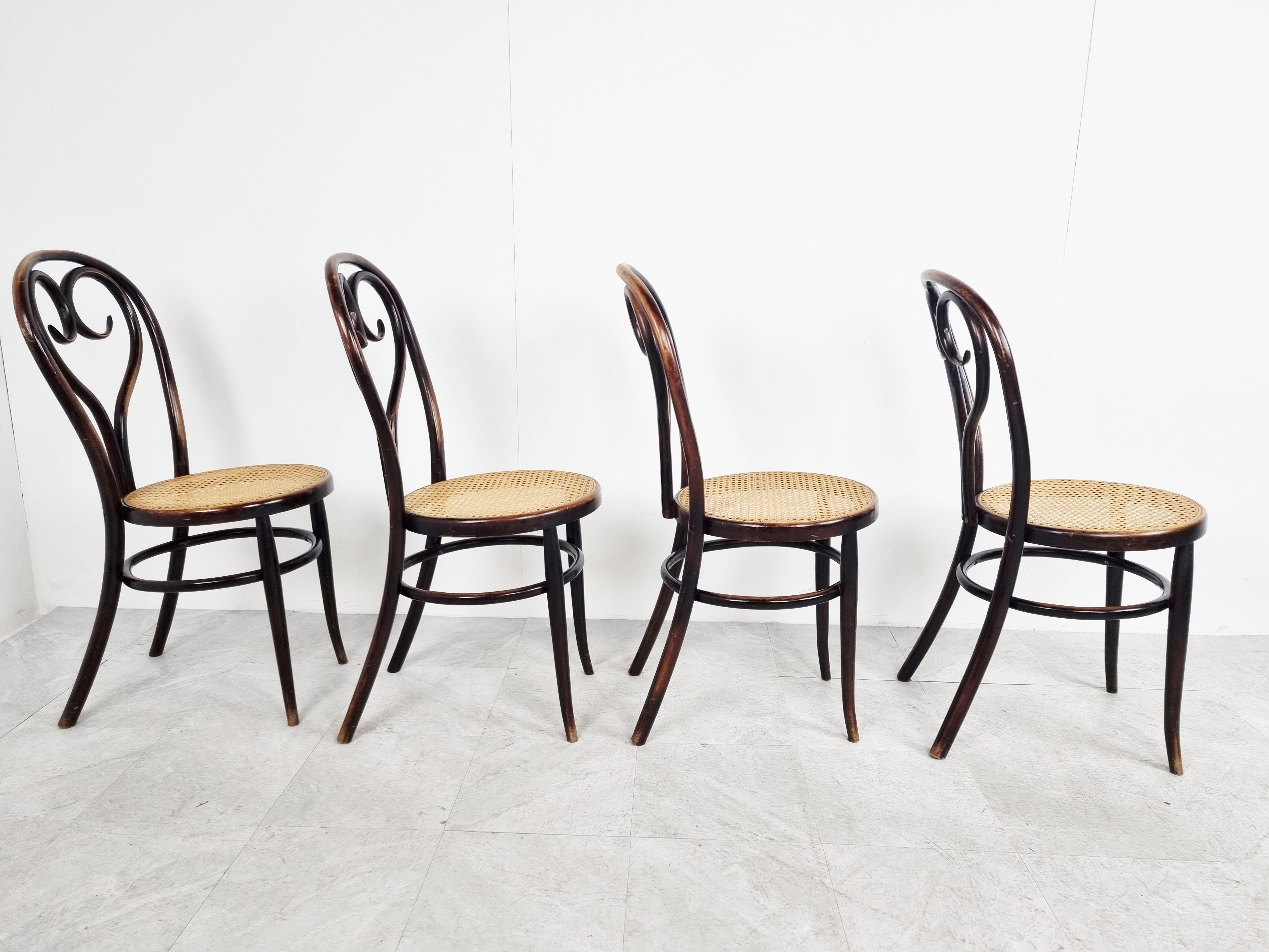 Austrian Thonet style bentwood Dining Chairs, 1920s